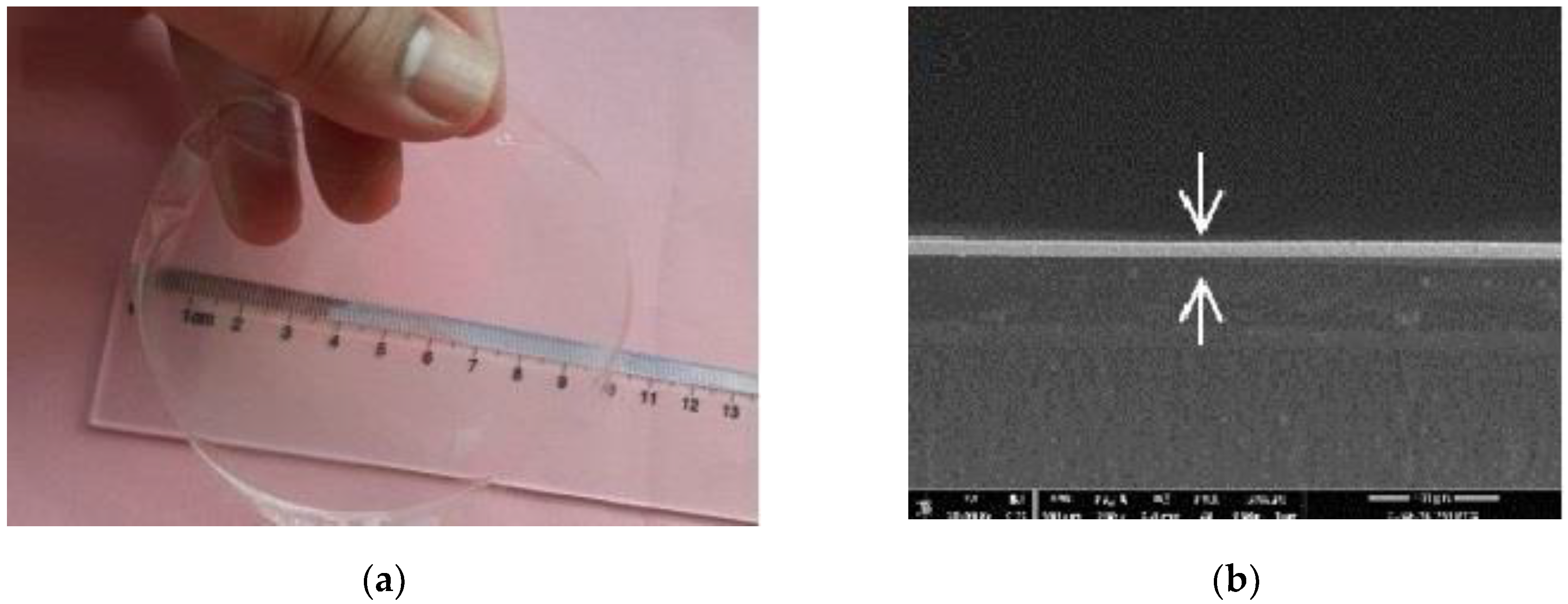 Nanomaterials 10 00660 g005 Nanomaterials 10 00660 g005