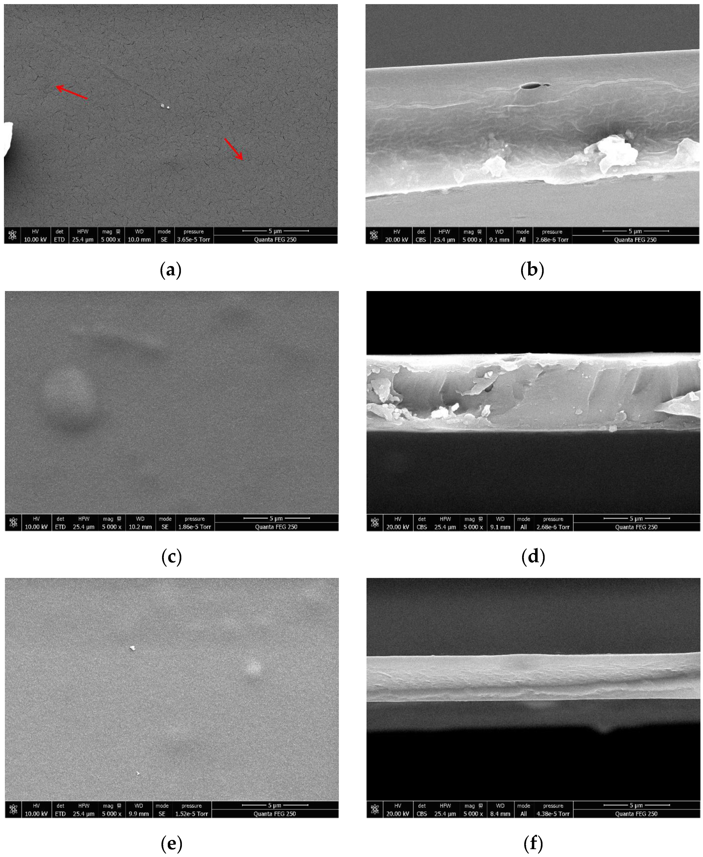 Nanomaterials 10 00660 g006 Nanomaterials 10 00660 g006