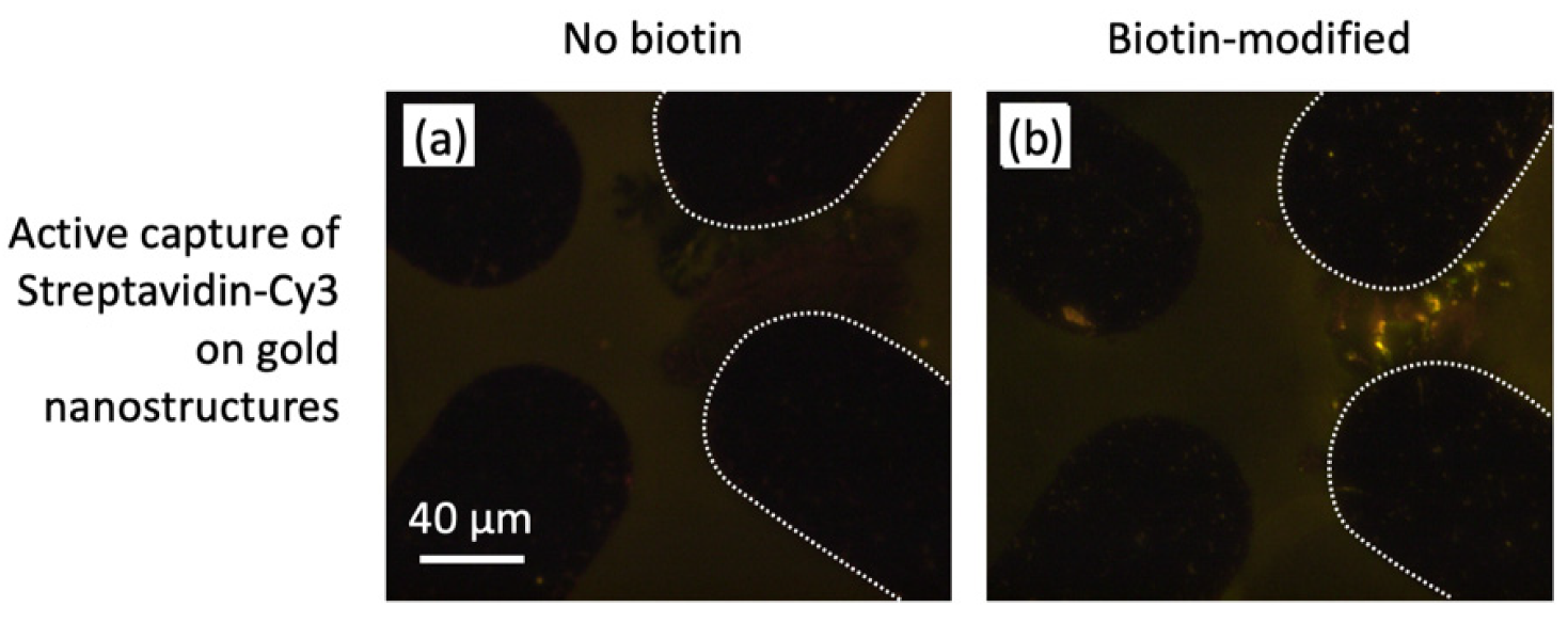 Nanomaterials 10 00661 g005 Nanomaterials 10 00661 g005