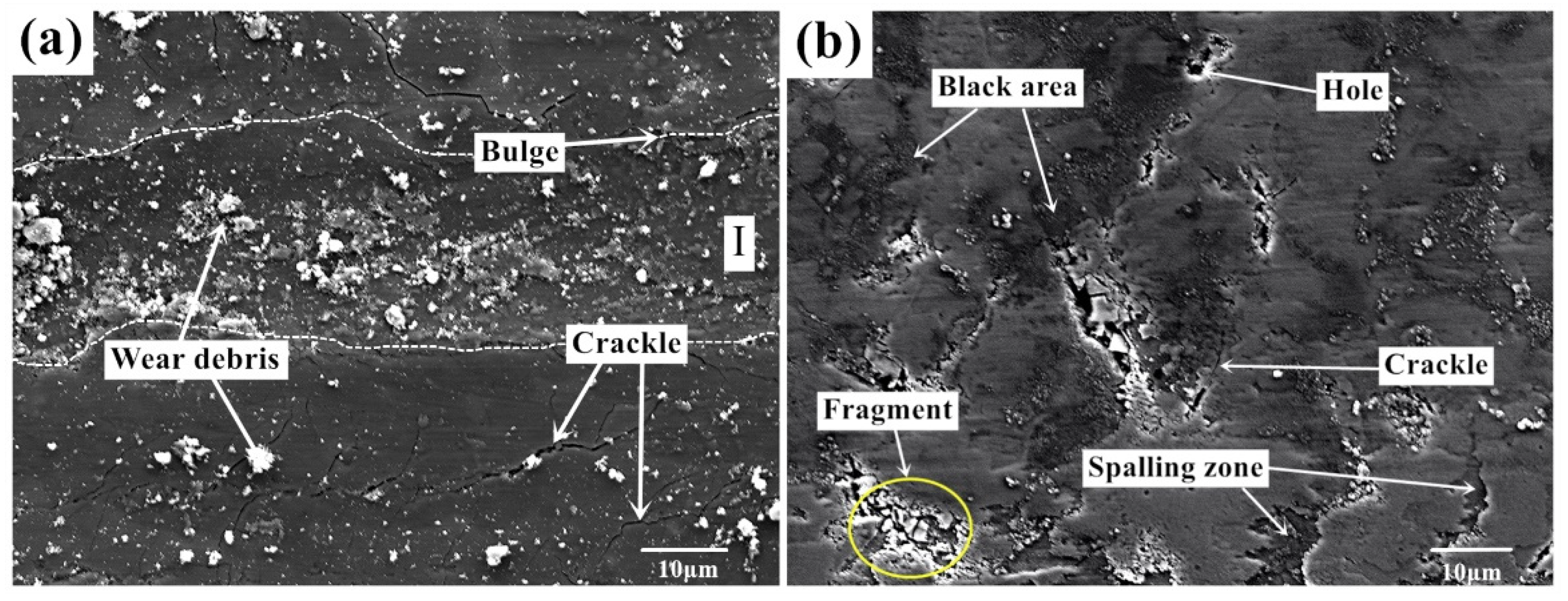 Nanomaterials 10 00665 g005