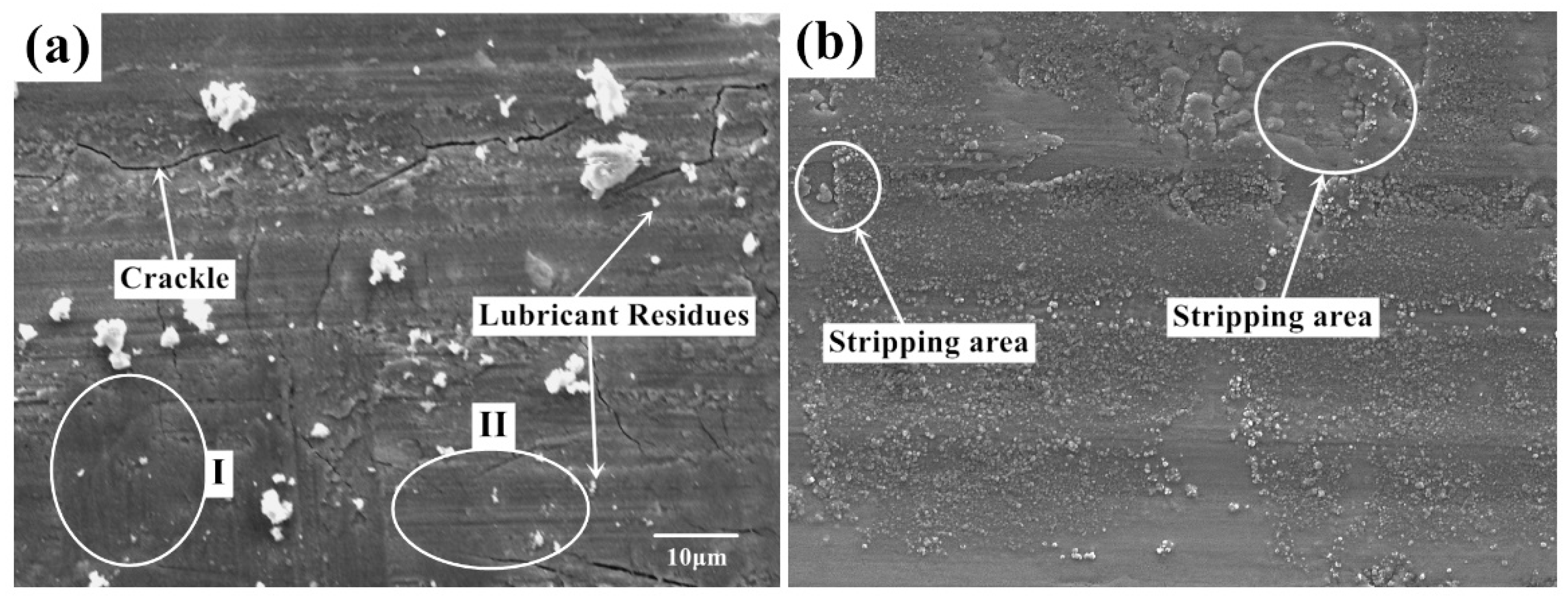 Nanomaterials 10 00665 g006