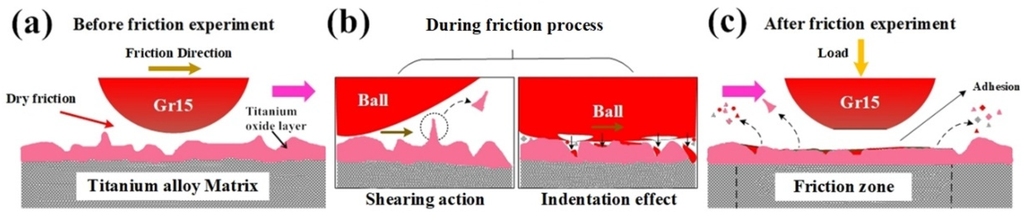 Nanomaterials 10 00665 g015