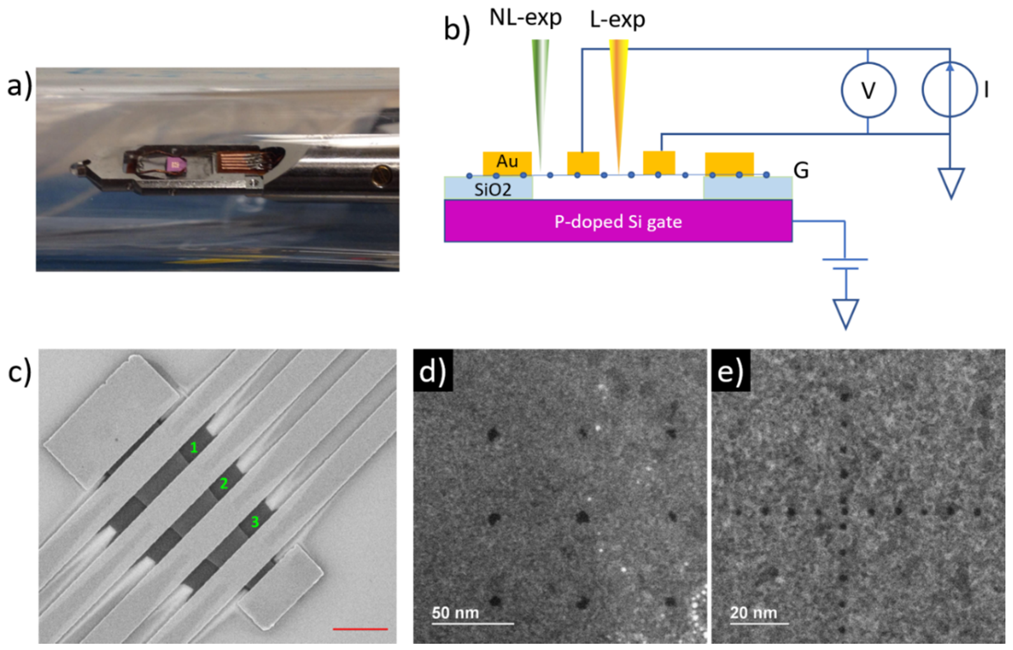 Nanomaterials 10 00666 g001
