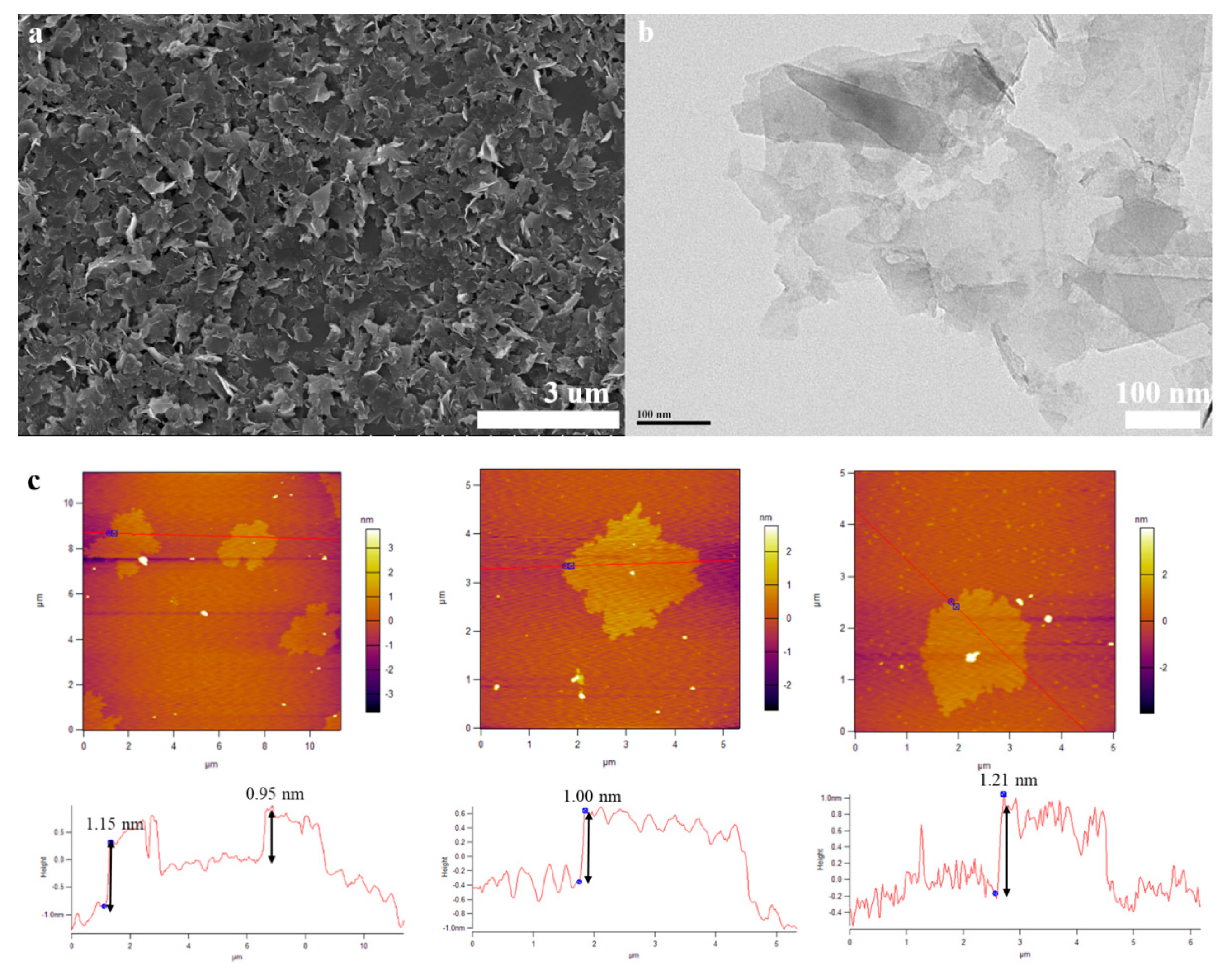 Nanomaterials 10 00667 g002