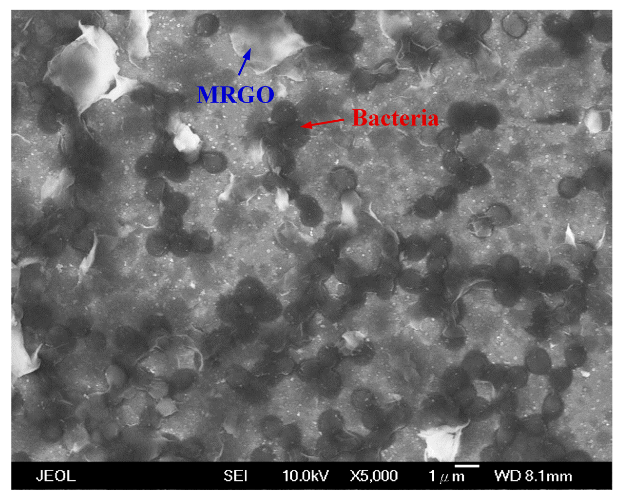 Nanomaterials 10 00674 g006 Nanomaterials 10 00674 g006