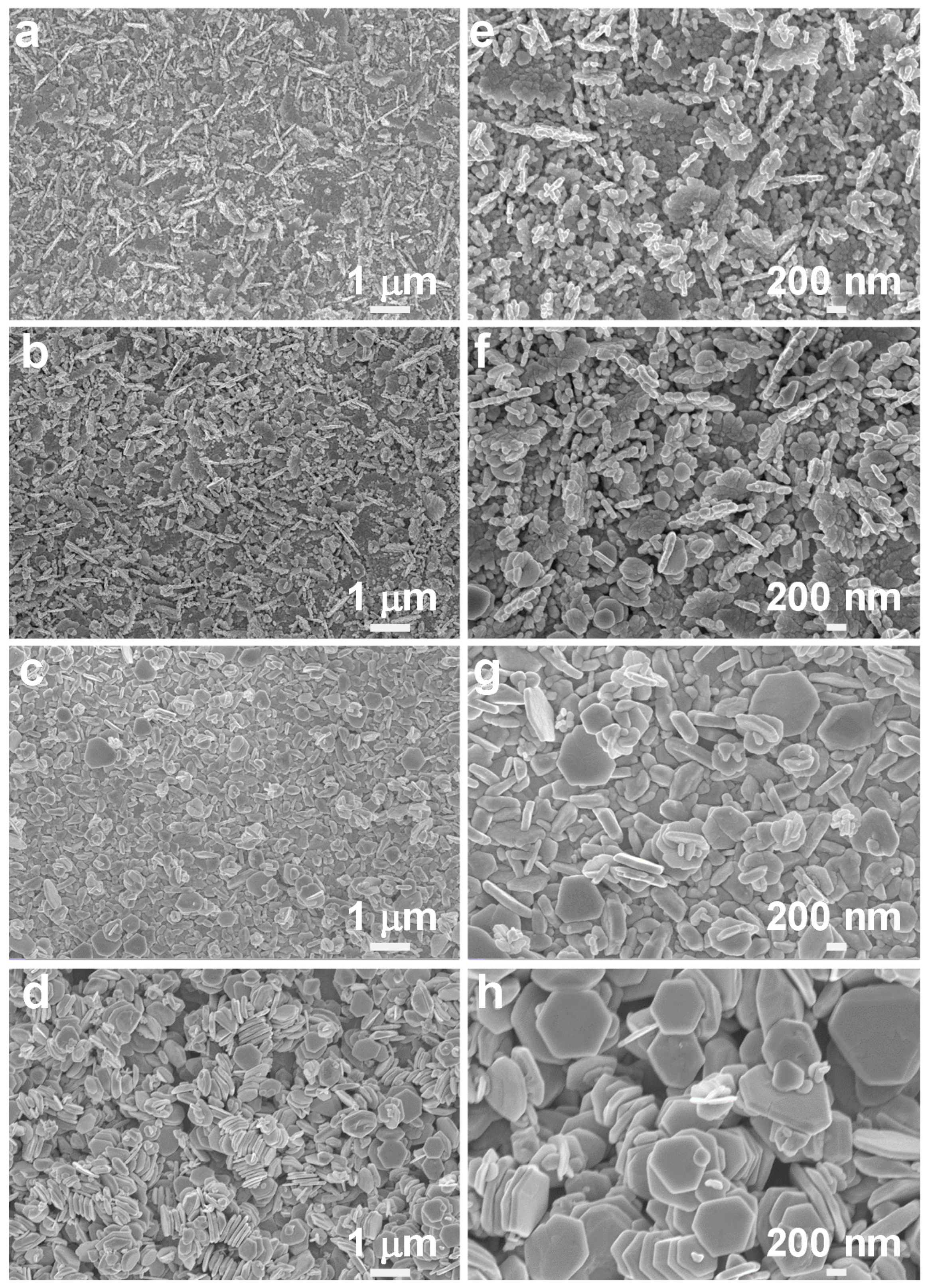 Nanomaterials 10 00685 g002 Nanomaterials 10 00685 g002