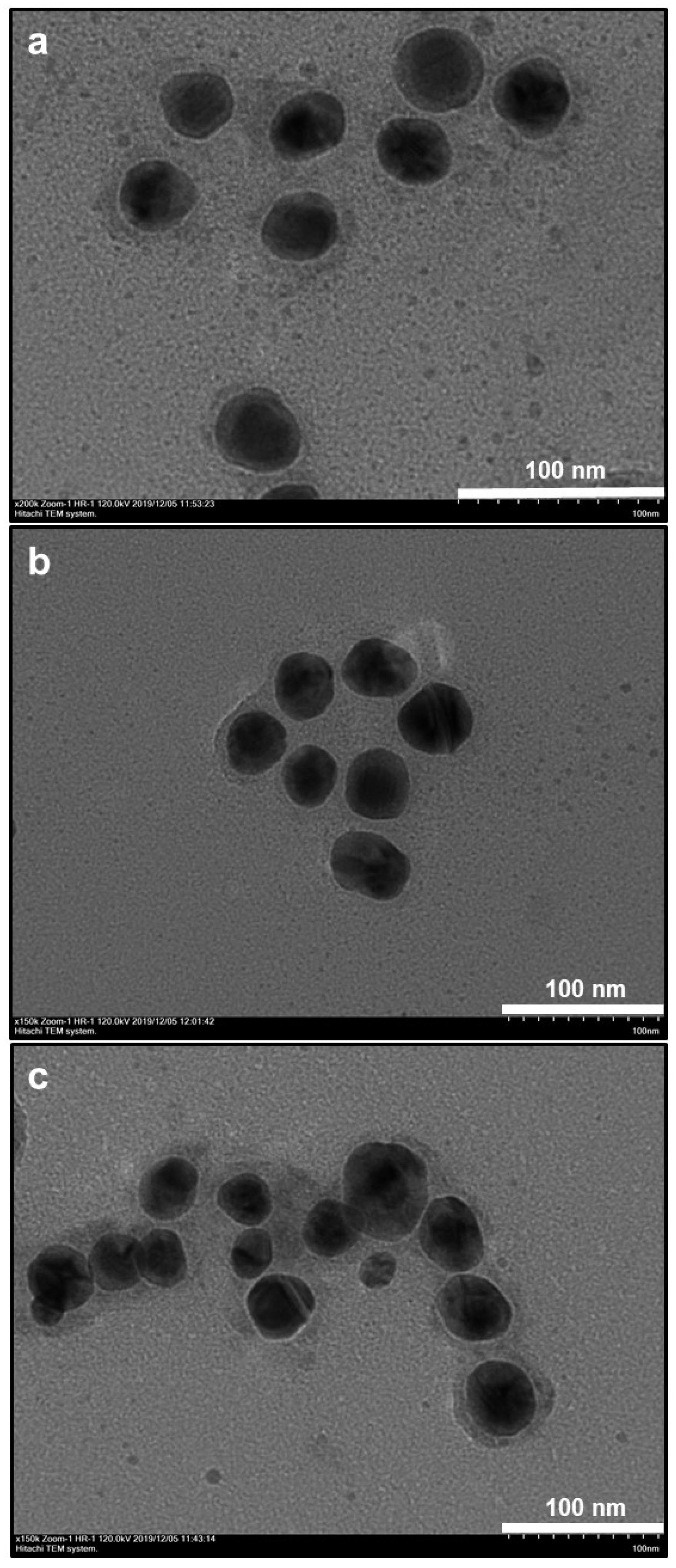Nanomaterials 10 00688 g003