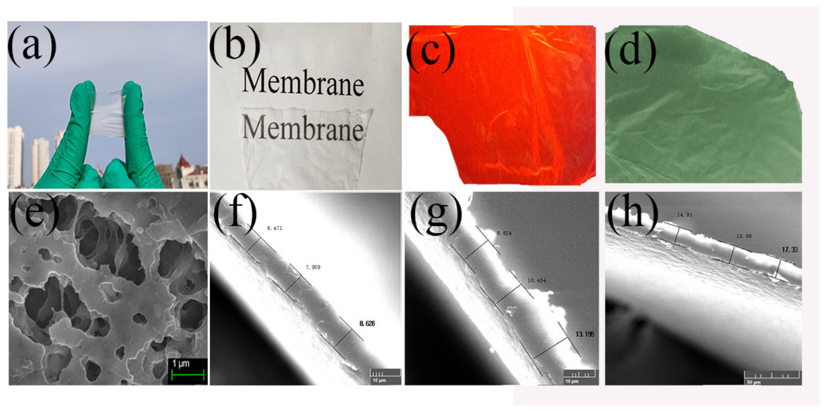 Nanomaterials 10 00694 g004