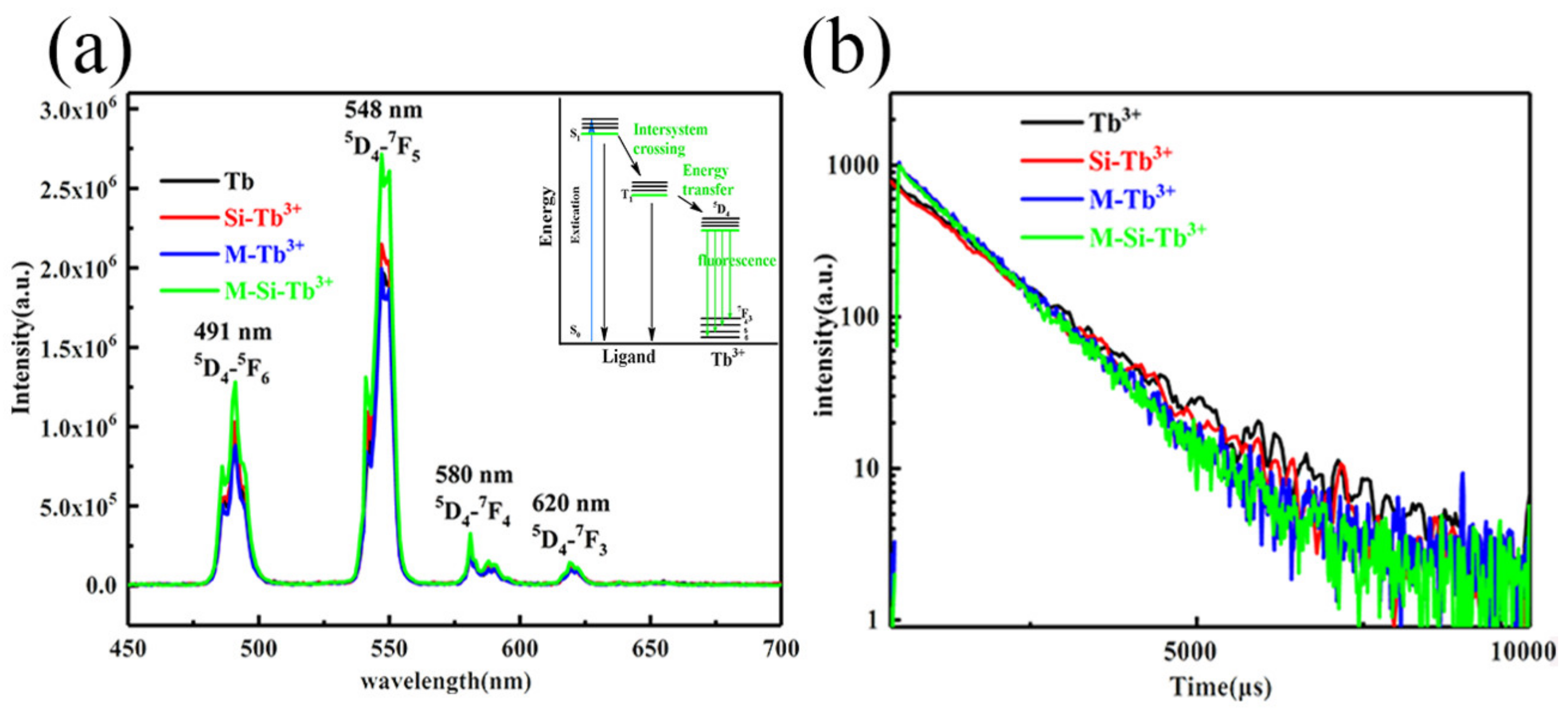 Nanomaterials 10 00694 g008