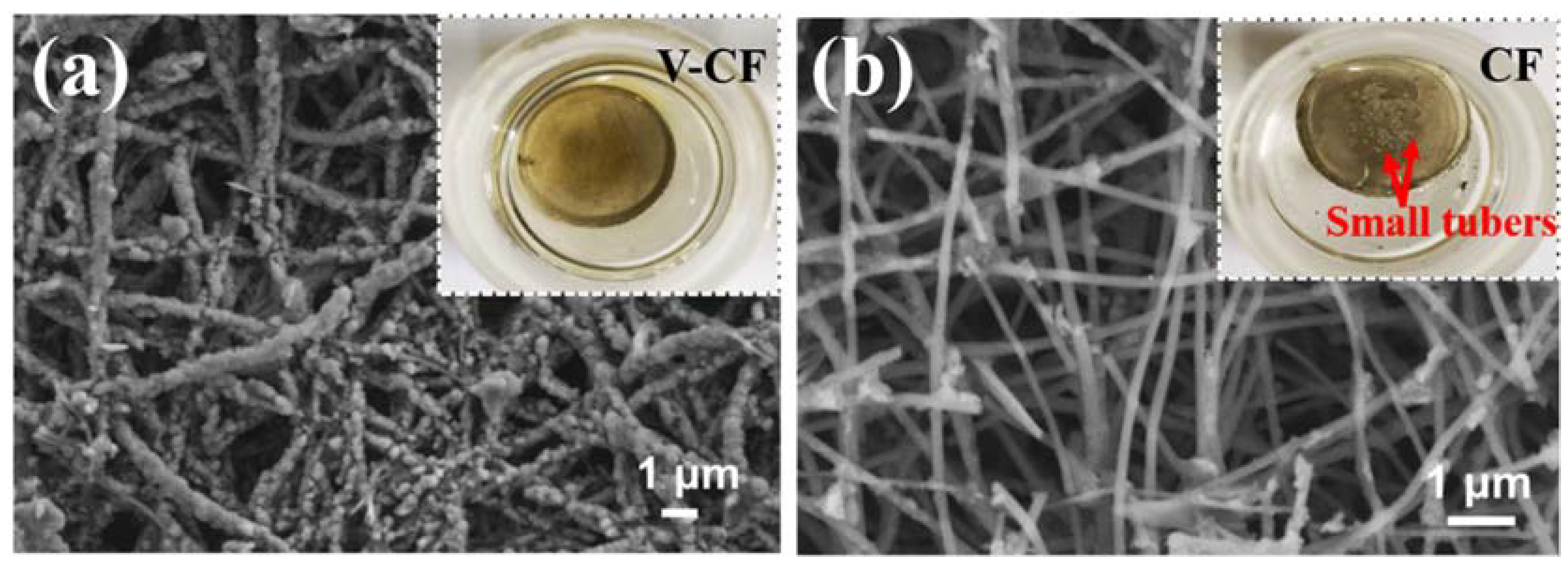 Nanomaterials 10 00705 g006