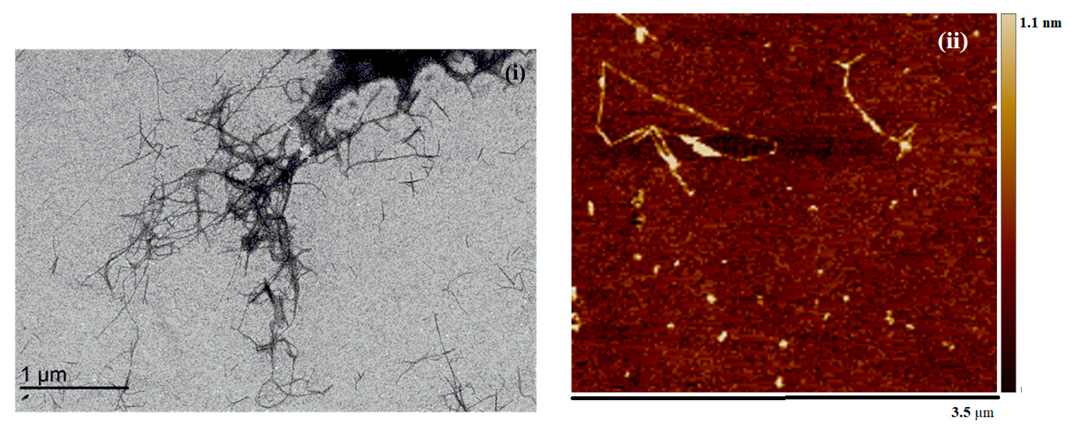 Nanomaterials 10 00706 g002 550