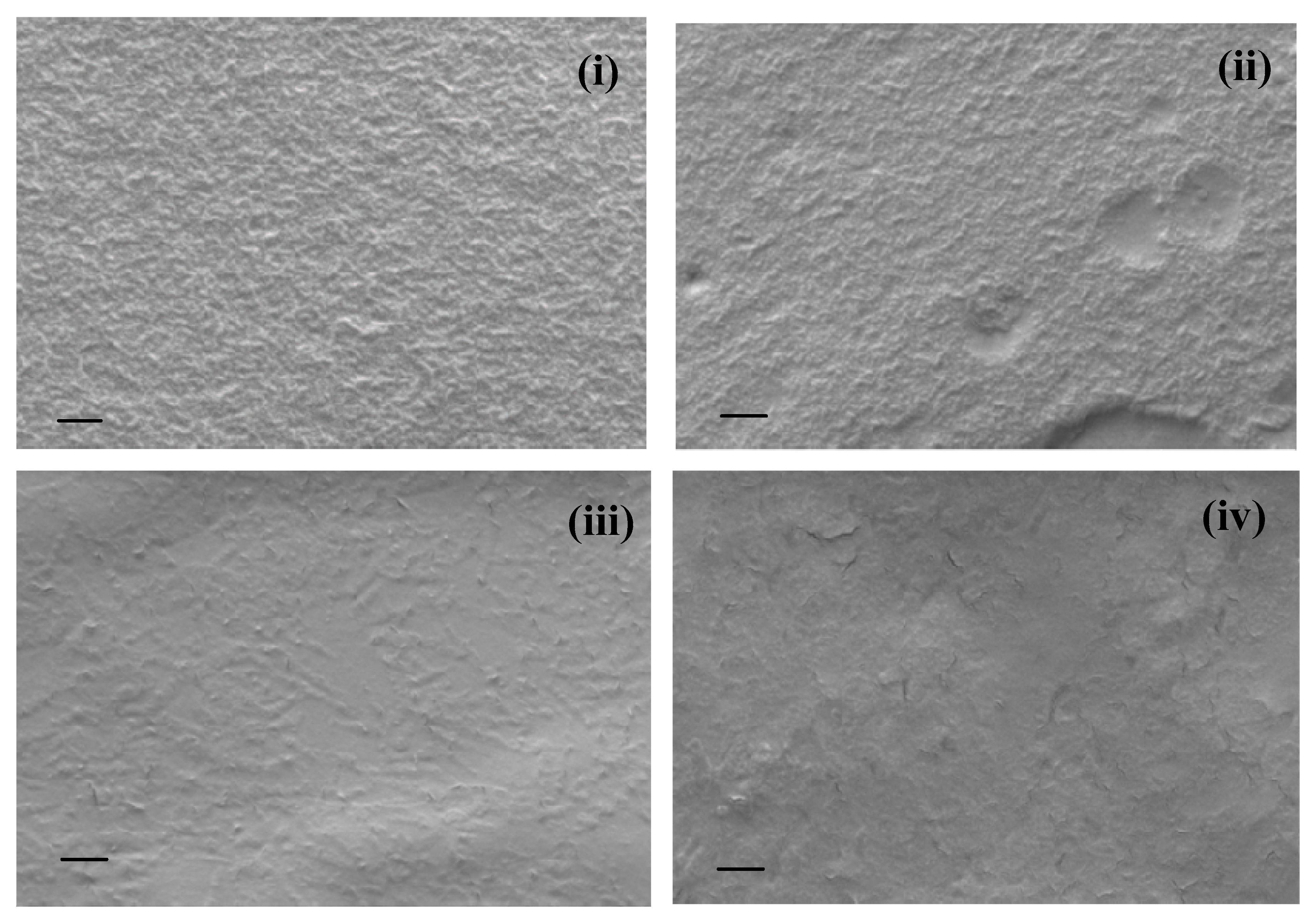 Nanomaterials 10 00706 g005 550