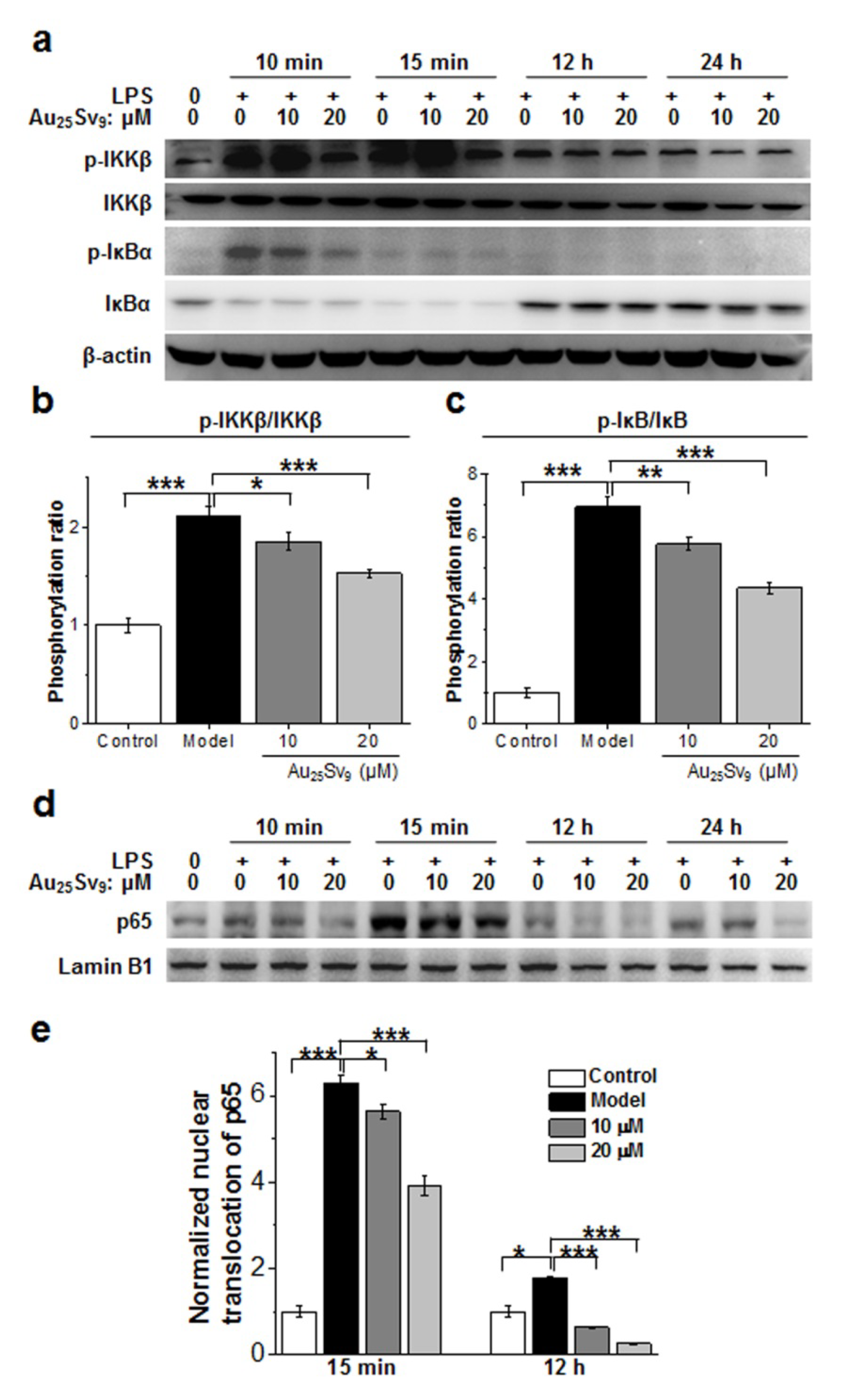 Nanomaterials 10 00712 g004 Nanomaterials 10 00712 g004