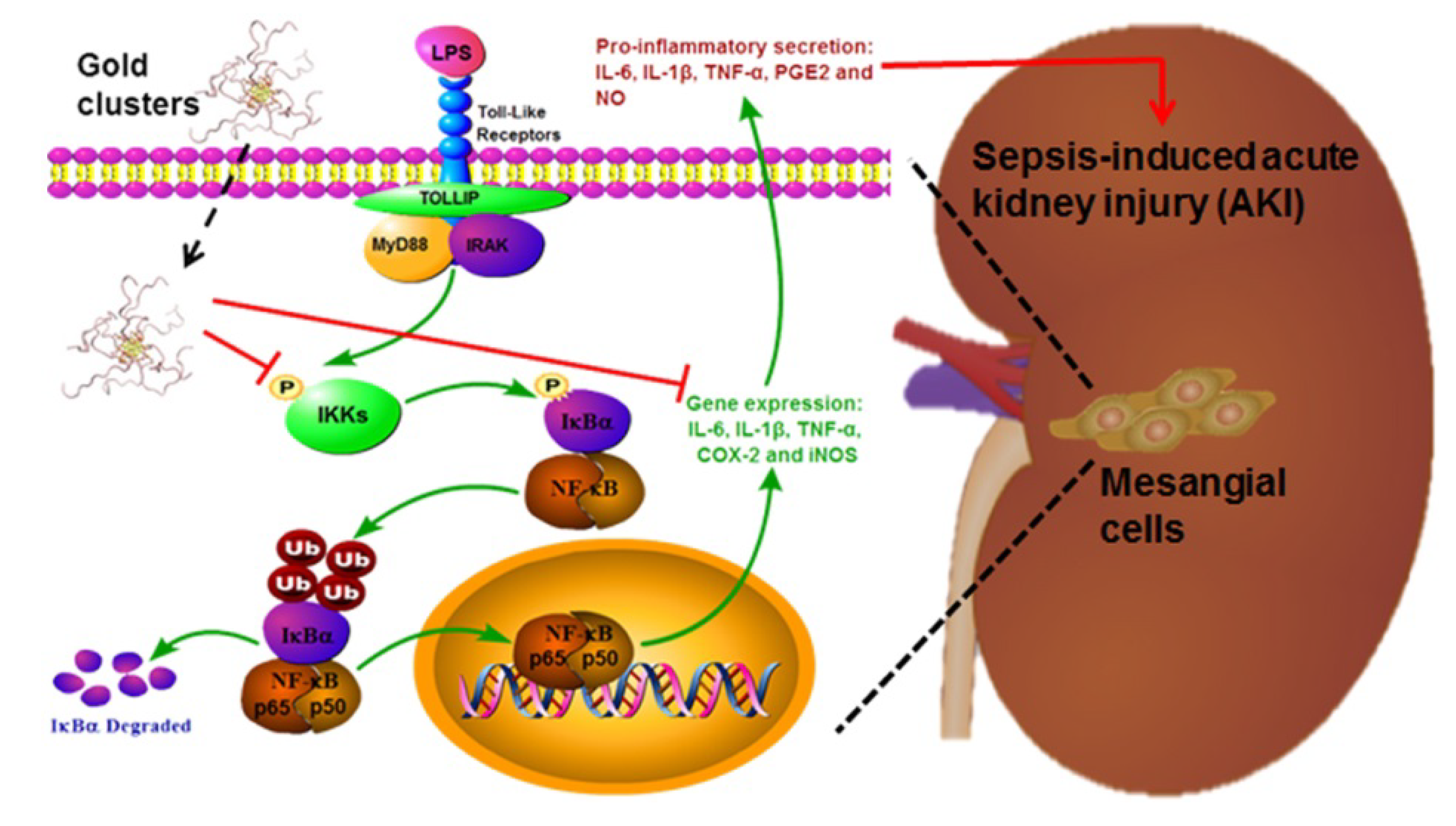 Nanomaterials 10 00712 sch001 Nanomaterials 10 00712 sch001