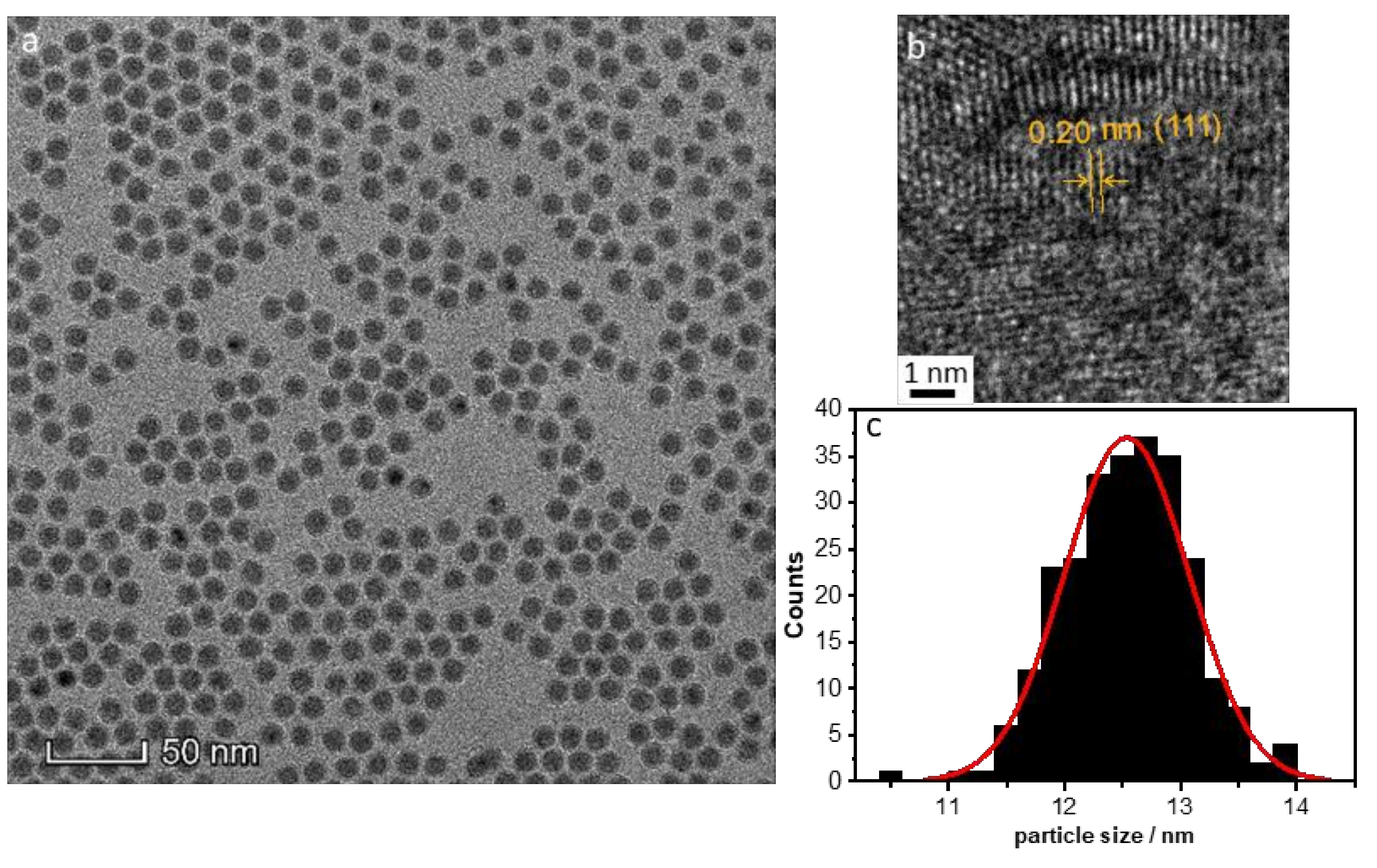 Nanomaterials 10 00713 g001 Nanomaterials 10 00713 g001