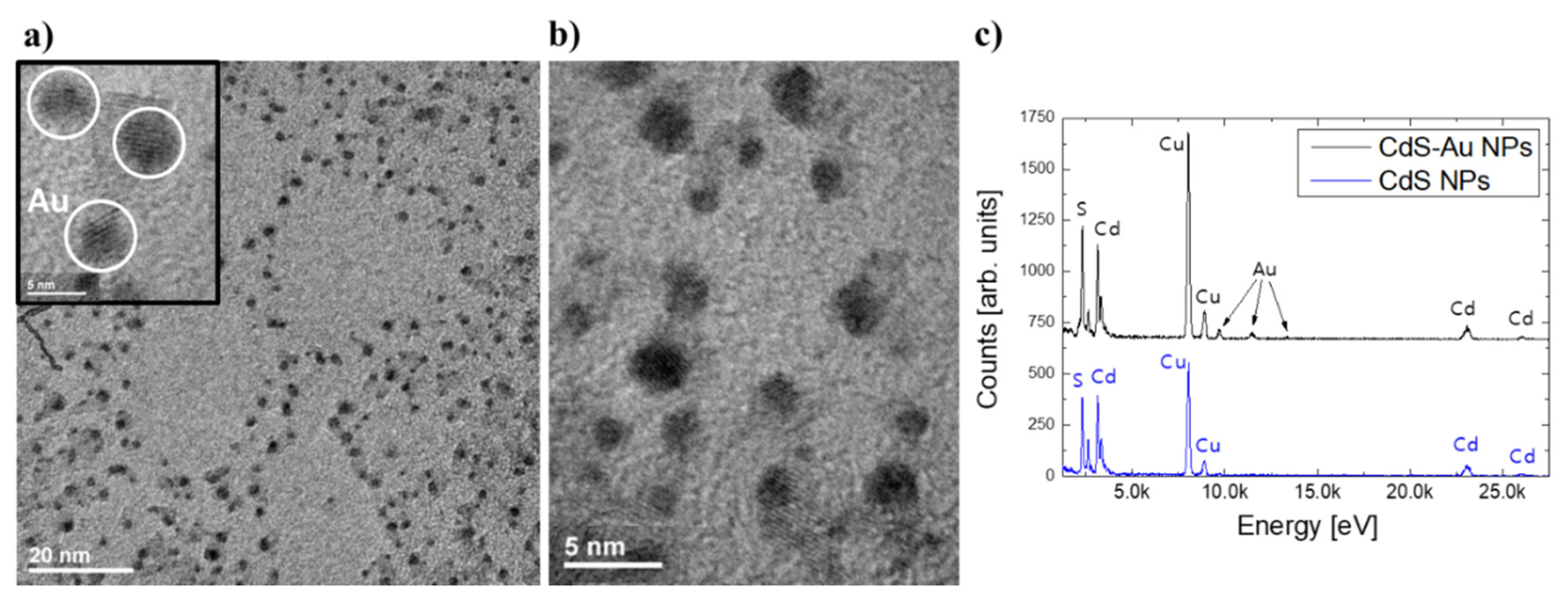Nanomaterials 10 00715 g001 Nanomaterials 10 00715 g001