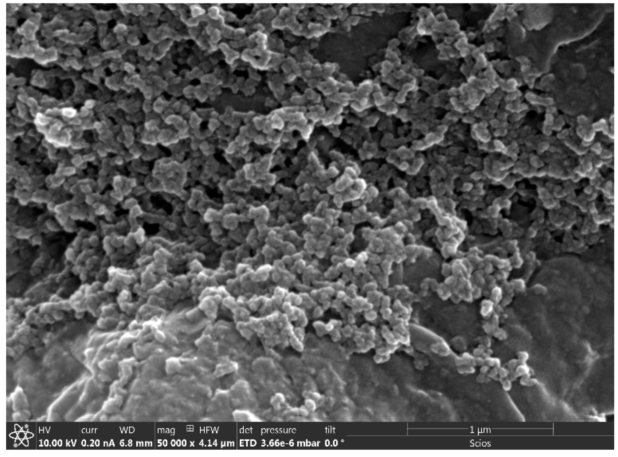 Nanomaterials 10 00718 g003