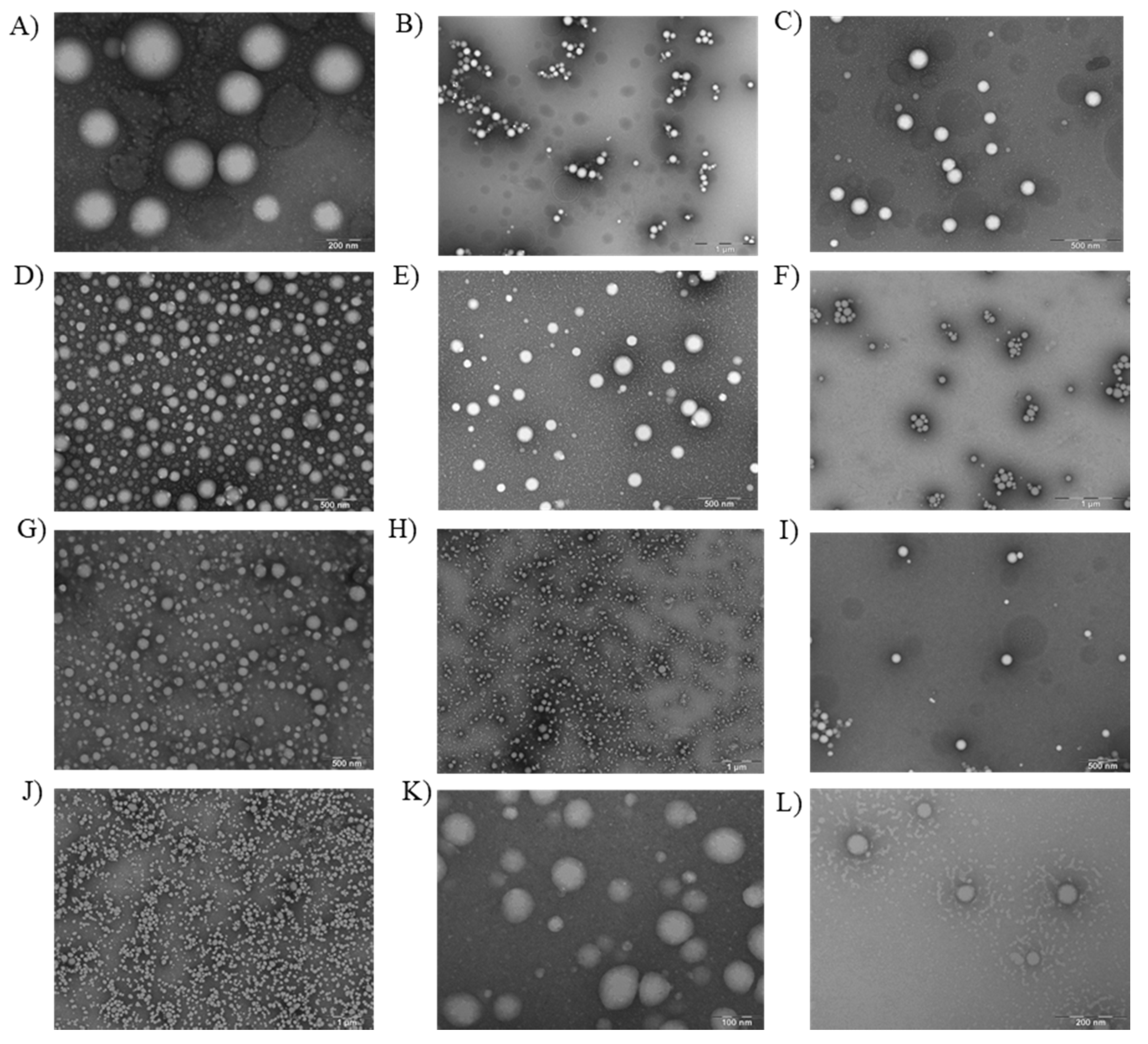 Nanomaterials 10 00720 g004 Nanomaterials 10 00720 g004