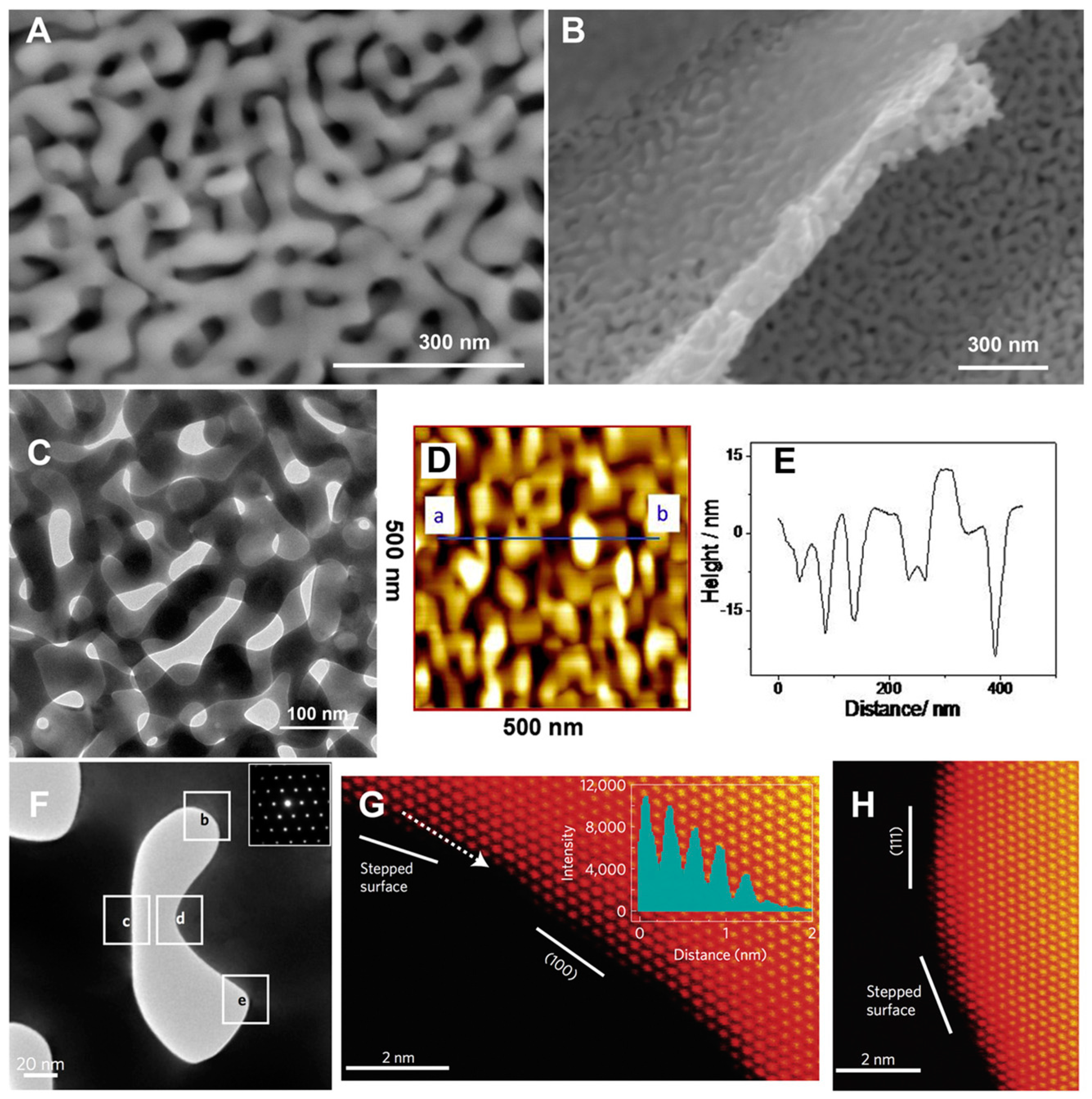 Nanomaterials 10 00722 g004 Nanomaterials 10 00722 g004