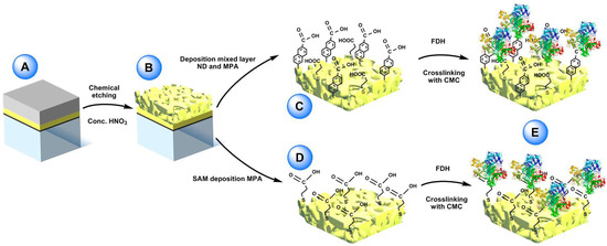 Nanomaterials 10 00722 g005 550