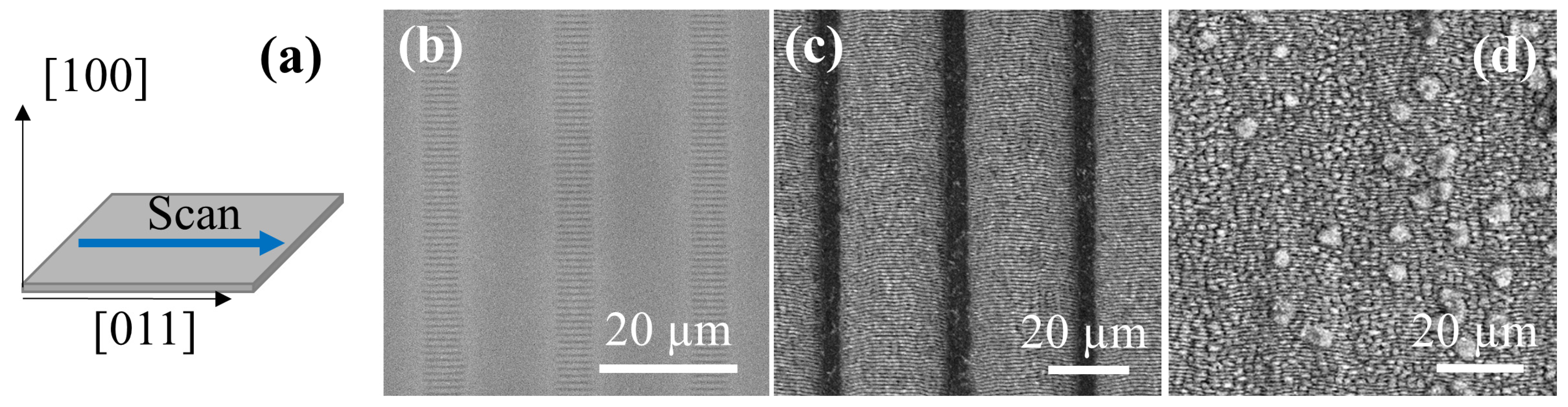 Nanomaterials 10 00731 g001