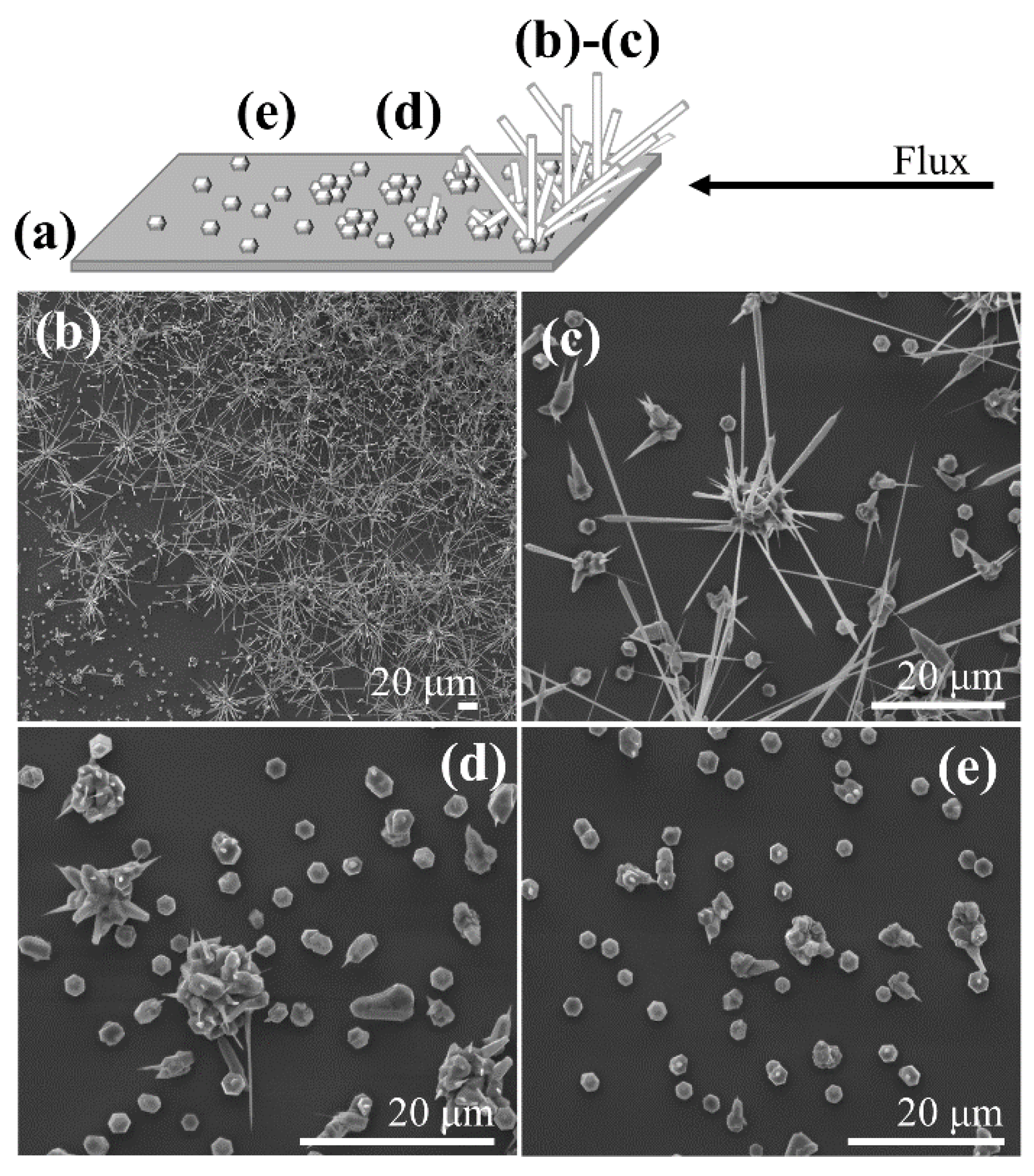 Nanomaterials 10 00731 g006