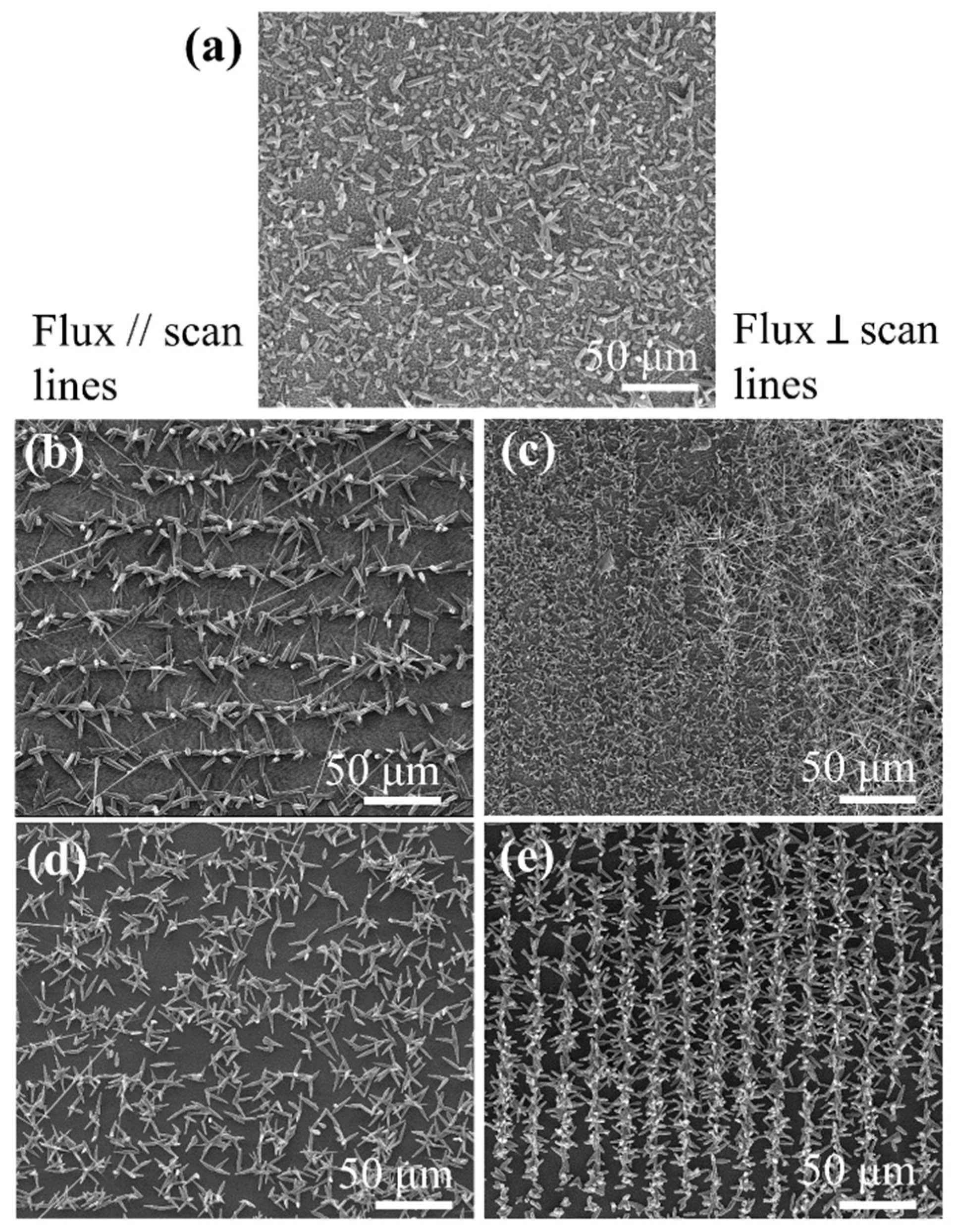 Nanomaterials 10 00731 g007