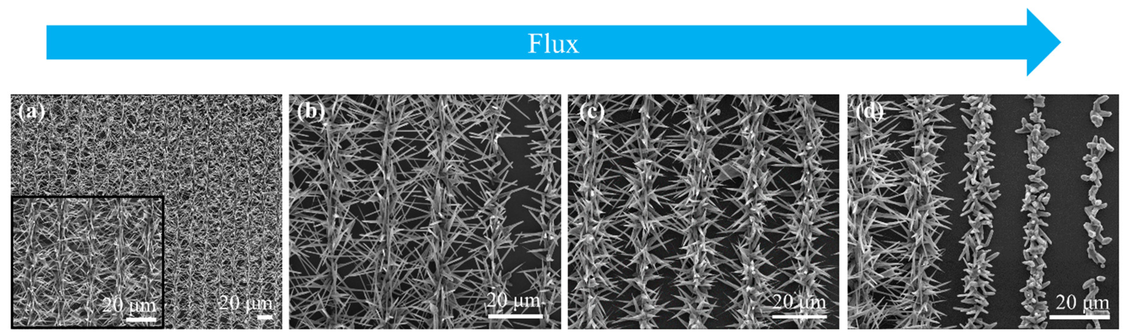 Nanomaterials 10 00731 g008