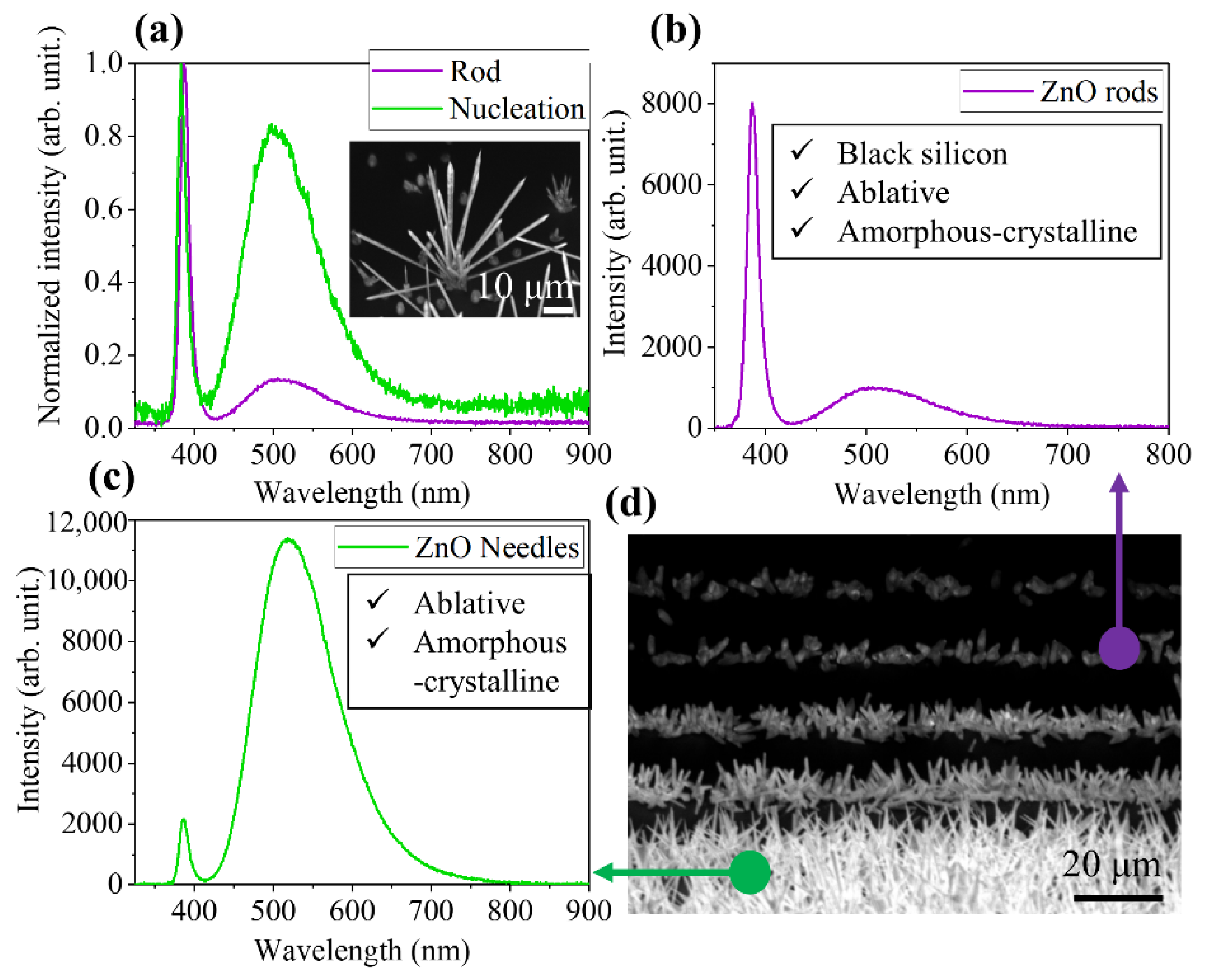 Nanomaterials 10 00731 g010