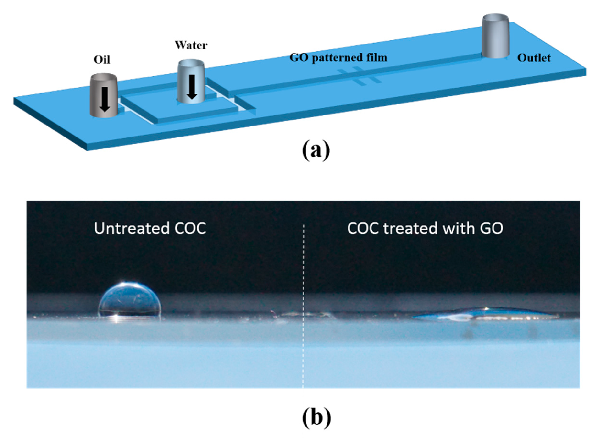 Nanomaterials 10 00737 g001