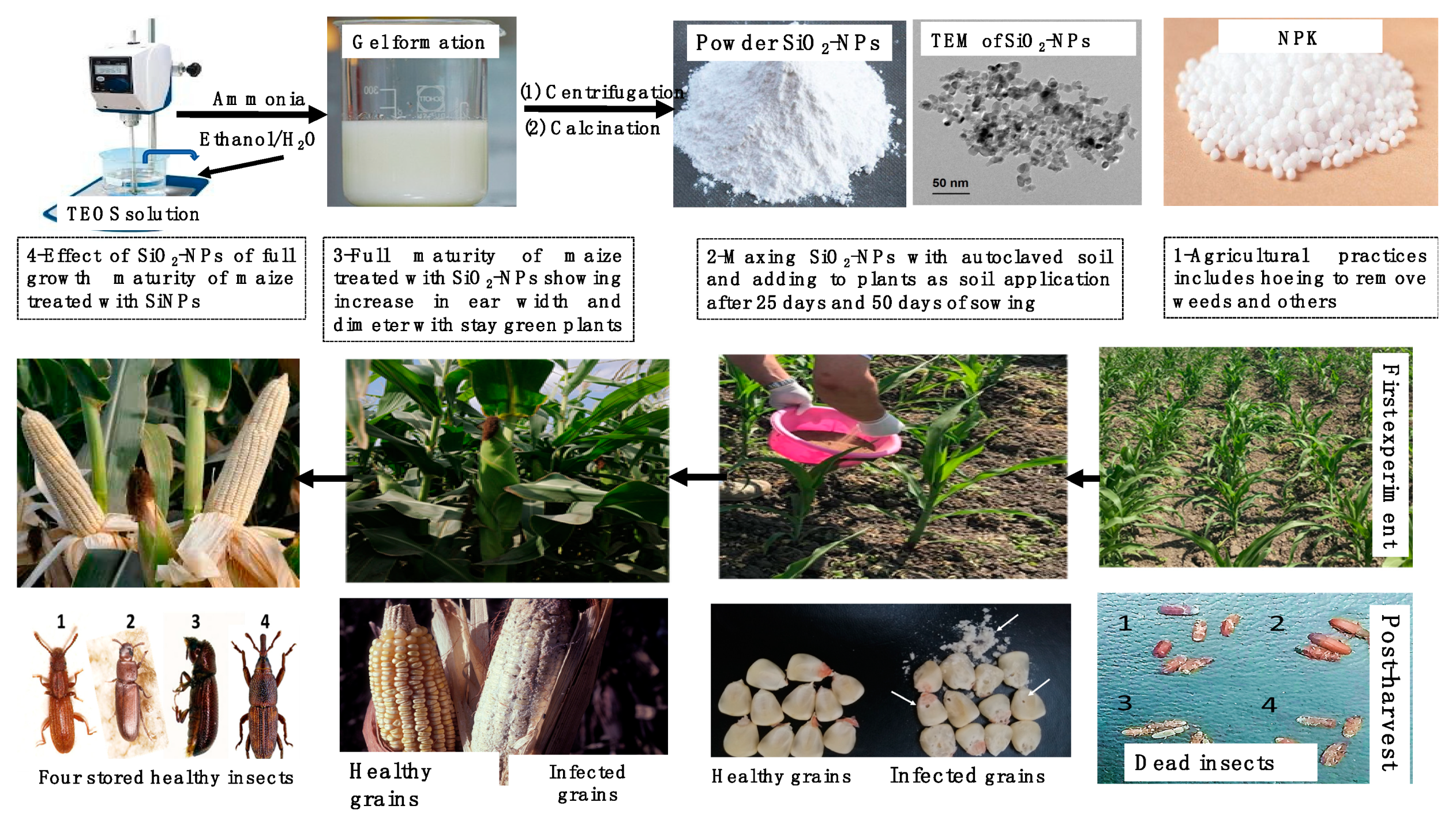 Nanomaterials 10 00739 sch001 Nanomaterials 10 00739 sch001