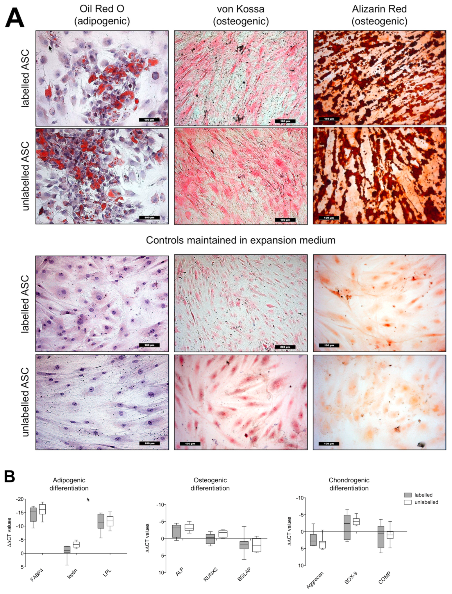 Nanomaterials 10 00741 g005
