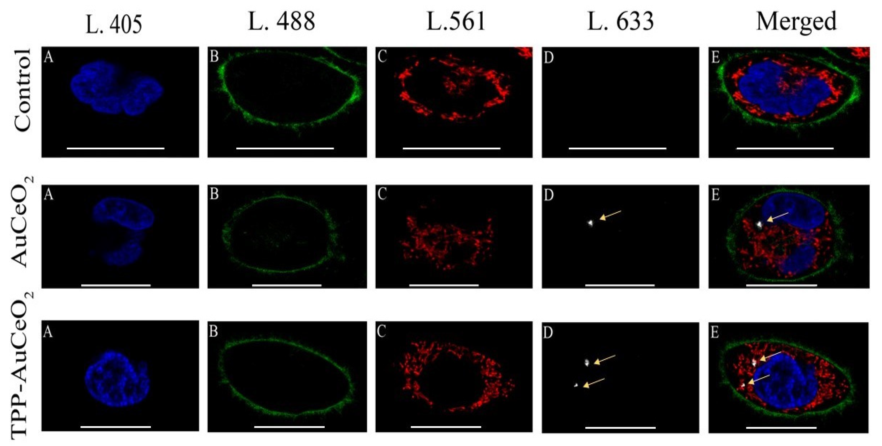 Nanomaterials 10 00744 g004