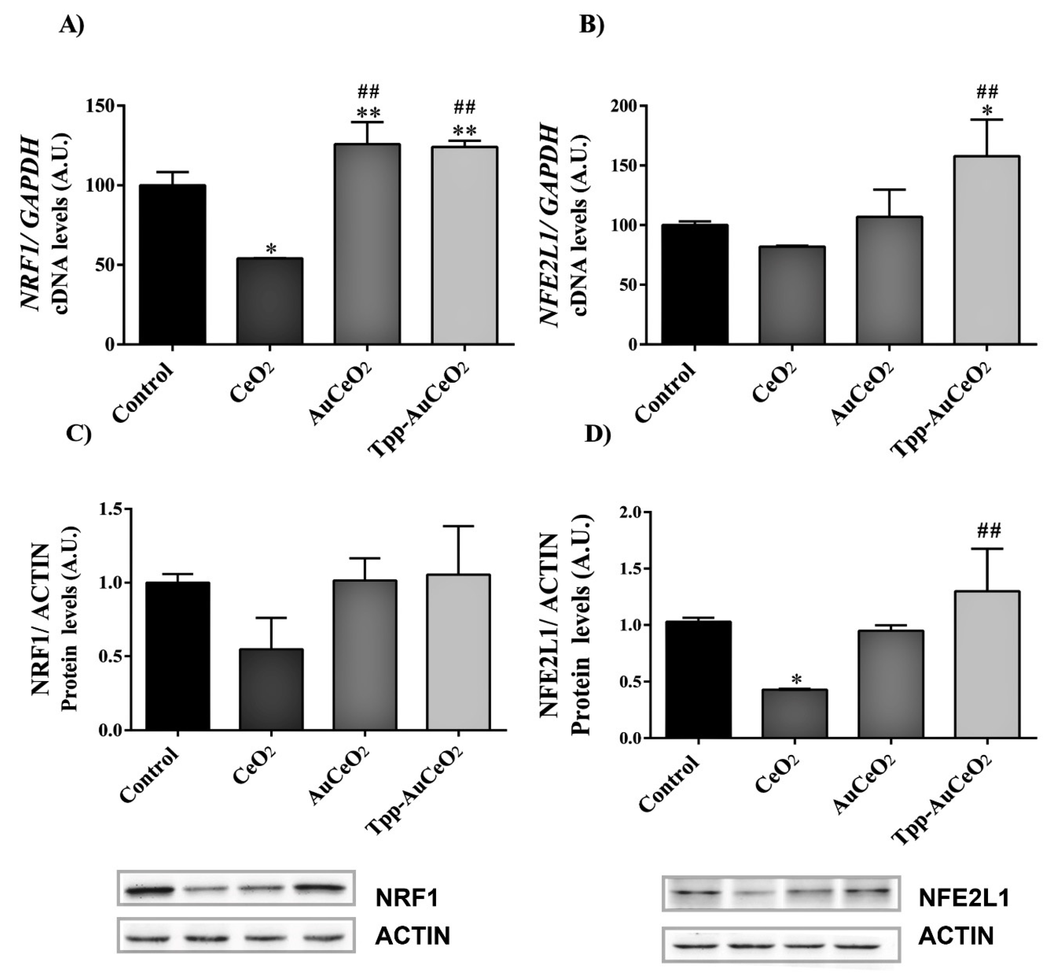 Nanomaterials 10 00744 g006
