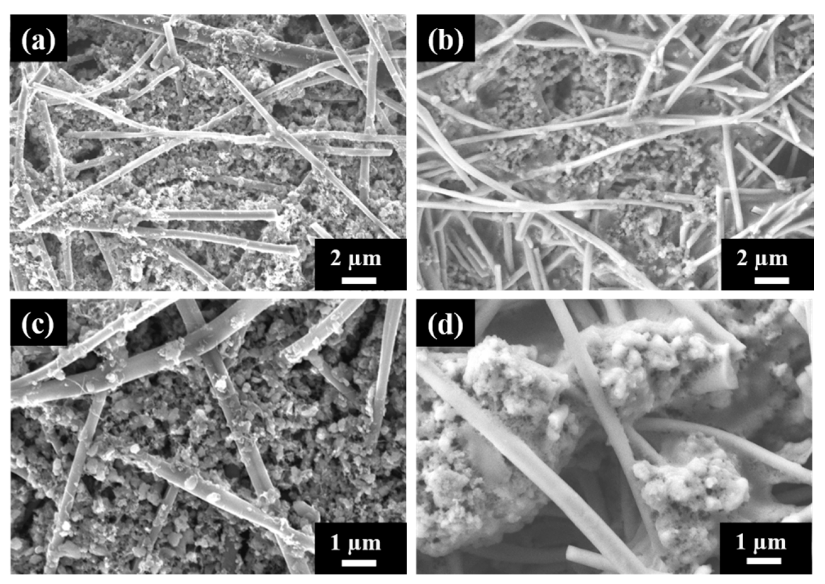 Nanomaterials 10 00745 g007 Nanomaterials 10 00745 g007