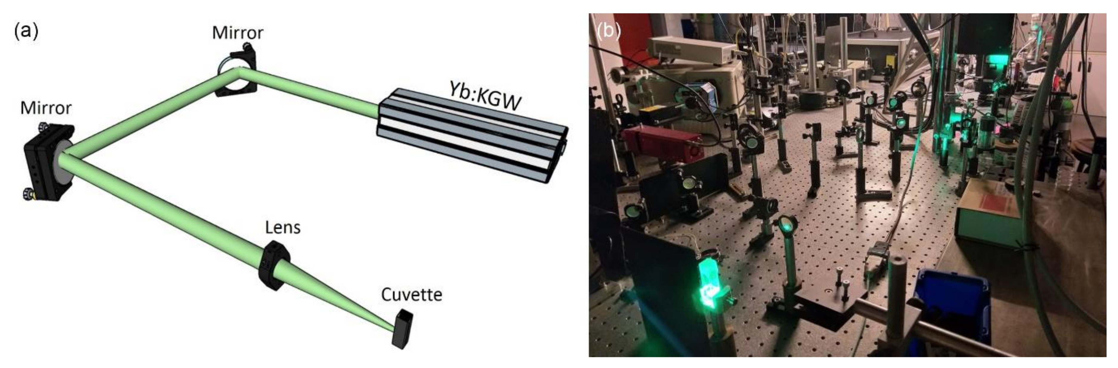 Nanomaterials 10 00747 g001