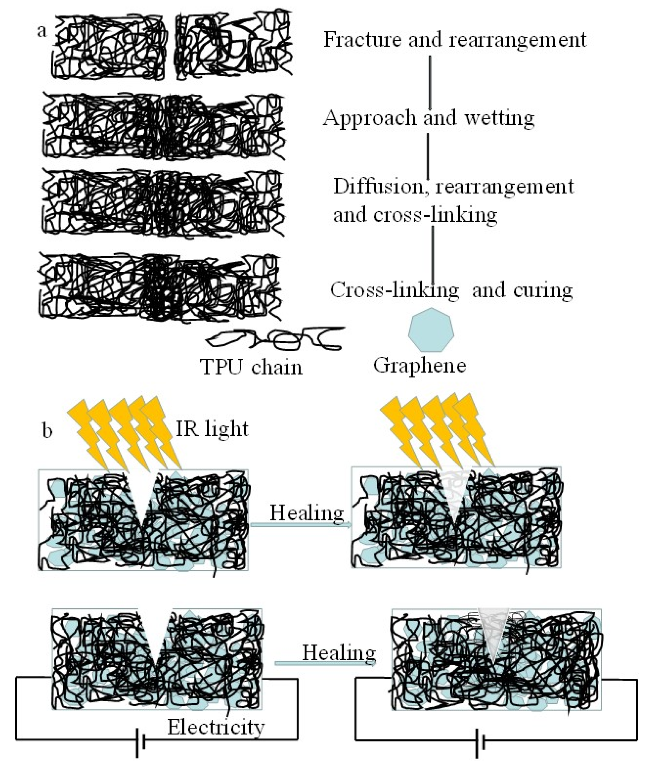 Nanomaterials 10 00753 g014 Nanomaterials 10 00753 g014