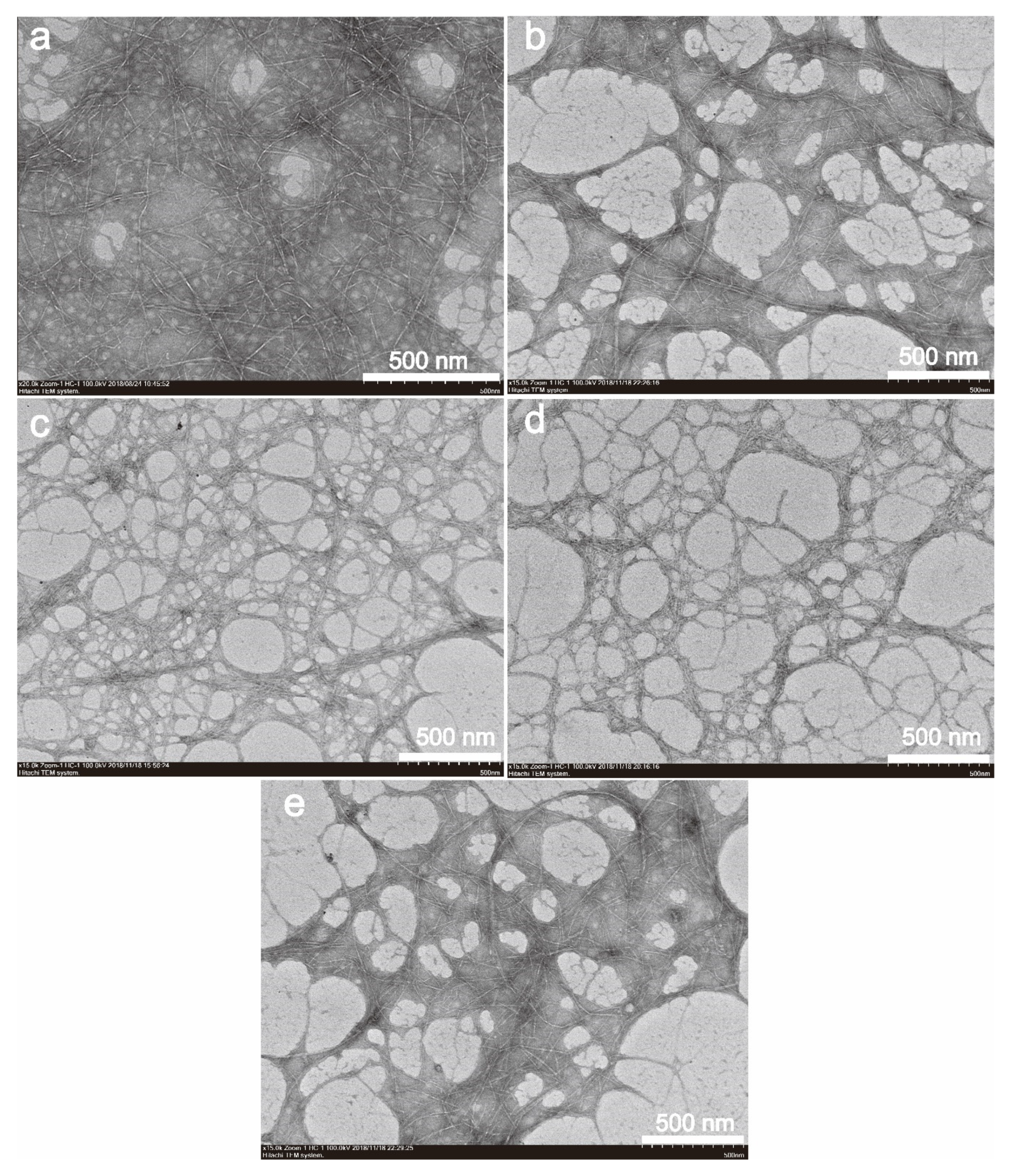 Nanomaterials 10 00755 g001