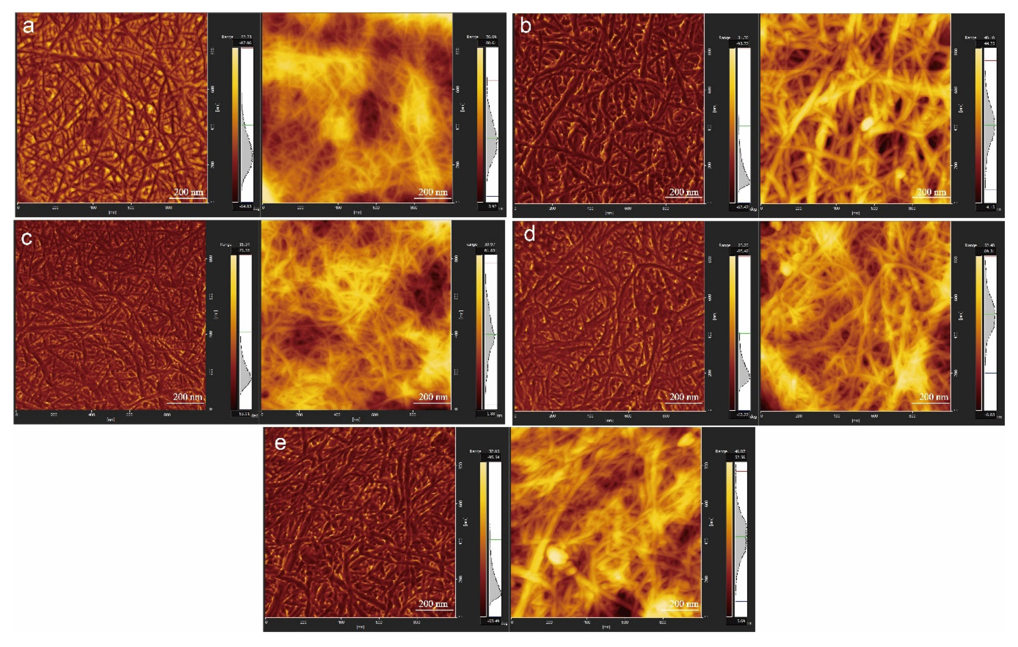 Nanomaterials 10 00755 g002