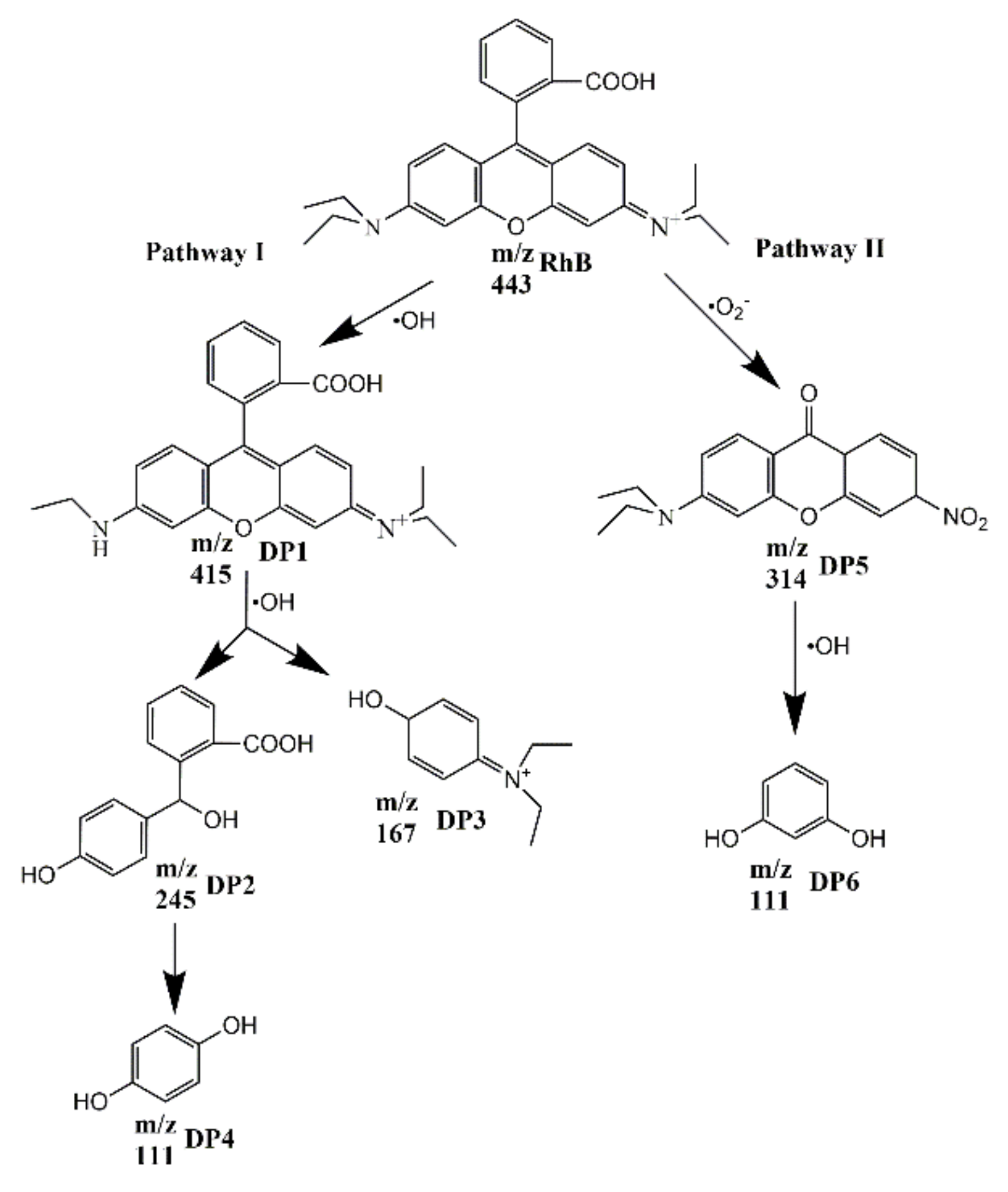 Nanomaterials 10 00756 g010 Nanomaterials 10 00756 g010