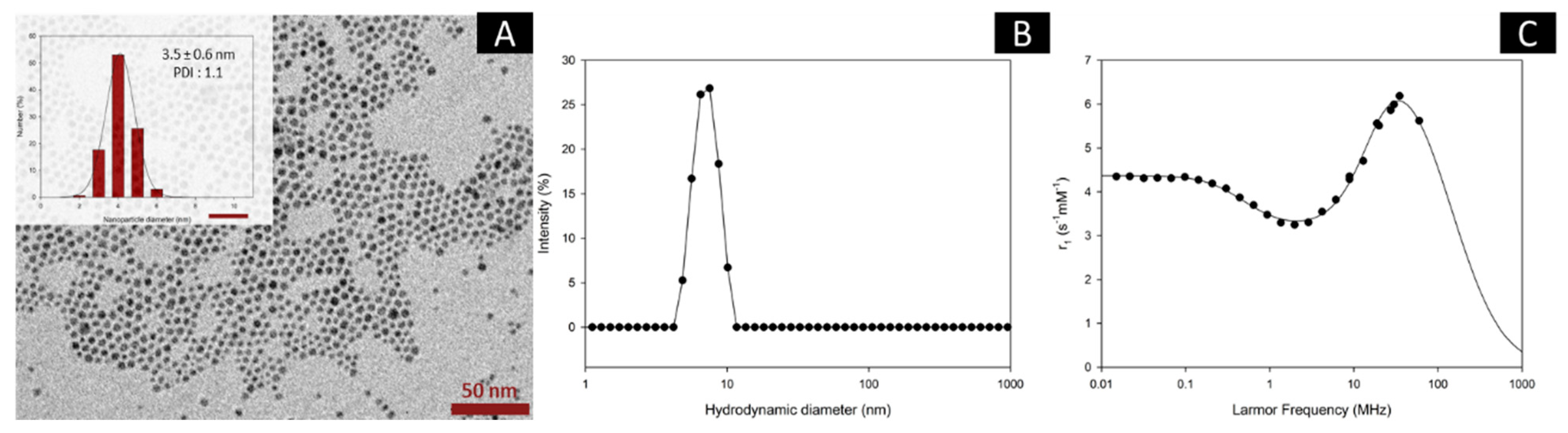 Nanomaterials 10 00757 g001