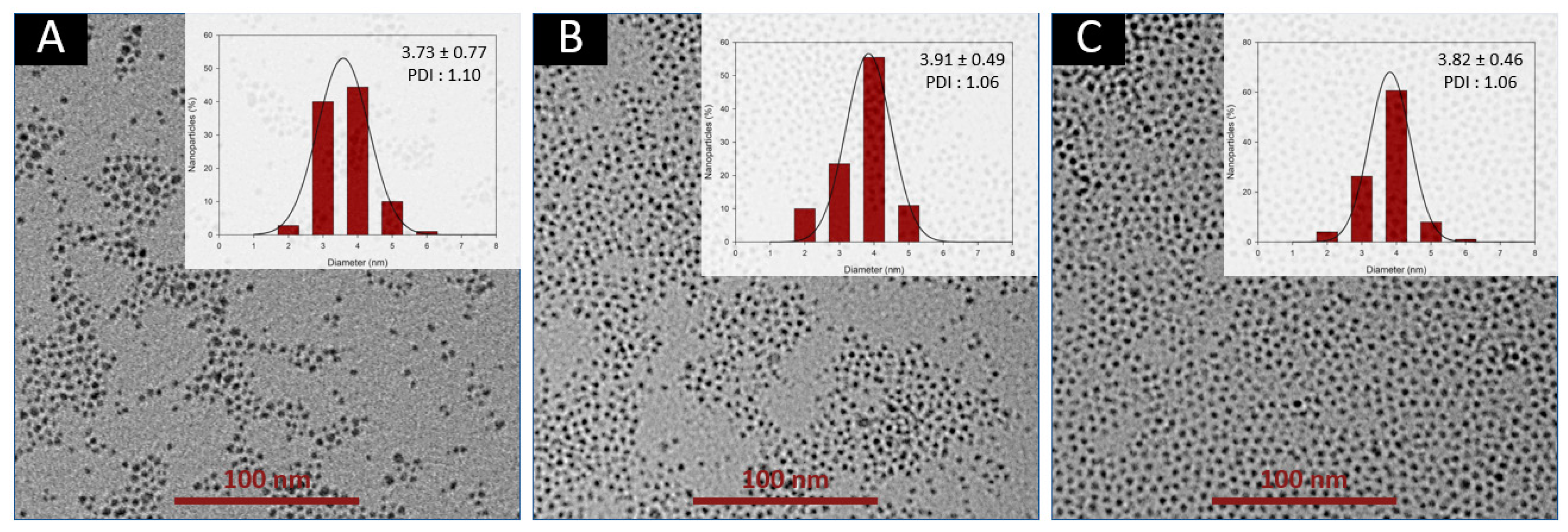 Nanomaterials 10 00757 g006