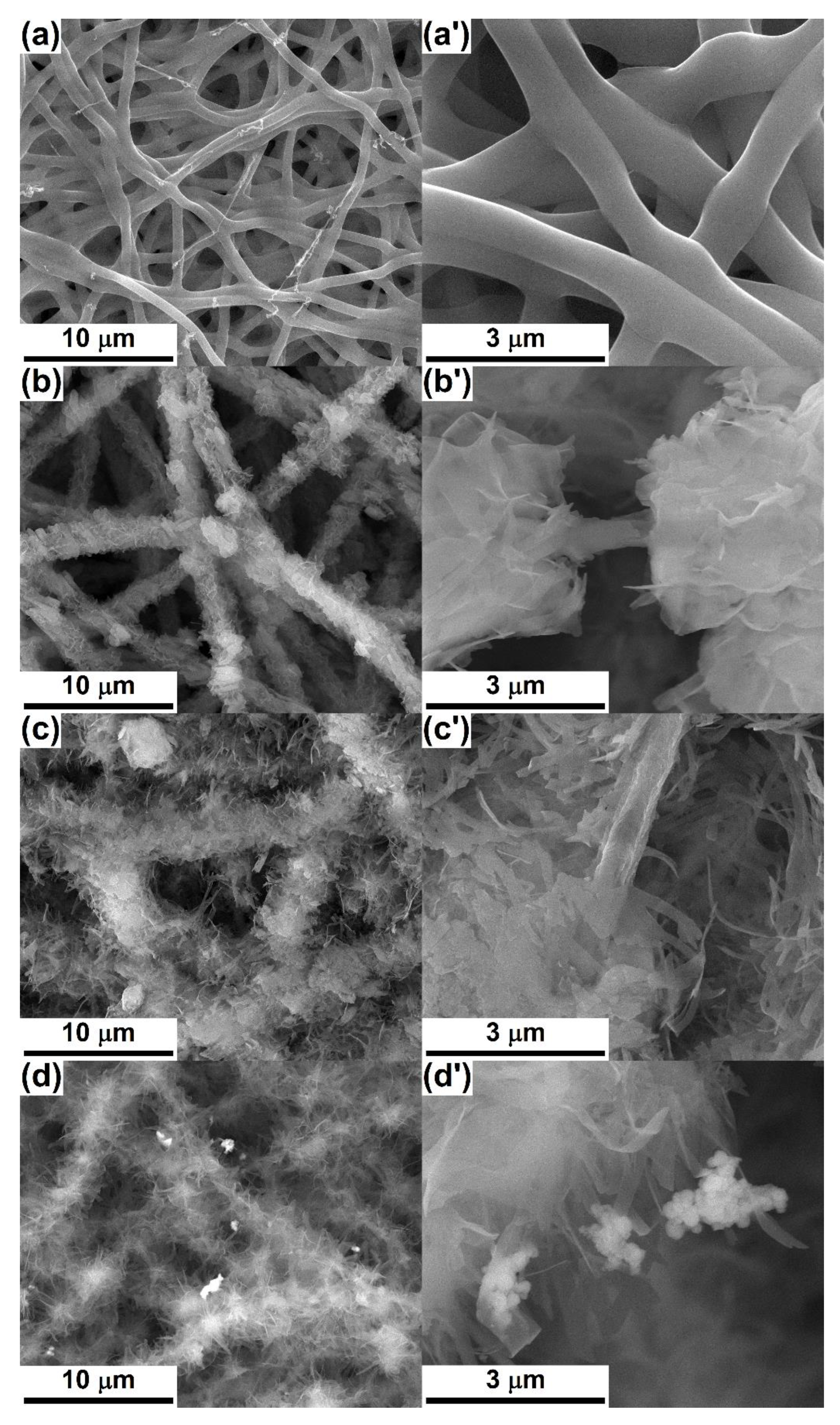 Nanomaterials 10 00772 g005 Nanomaterials 10 00772 g005
