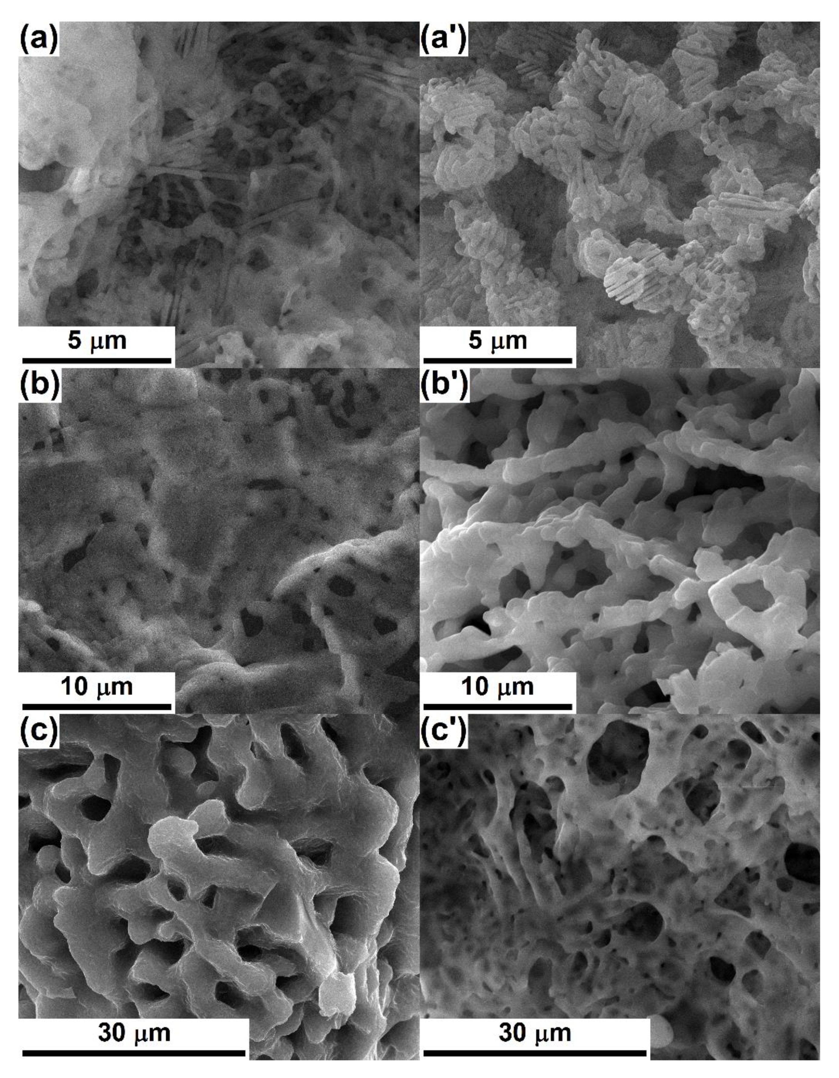 Nanomaterials 10 00772 g006 Nanomaterials 10 00772 g006