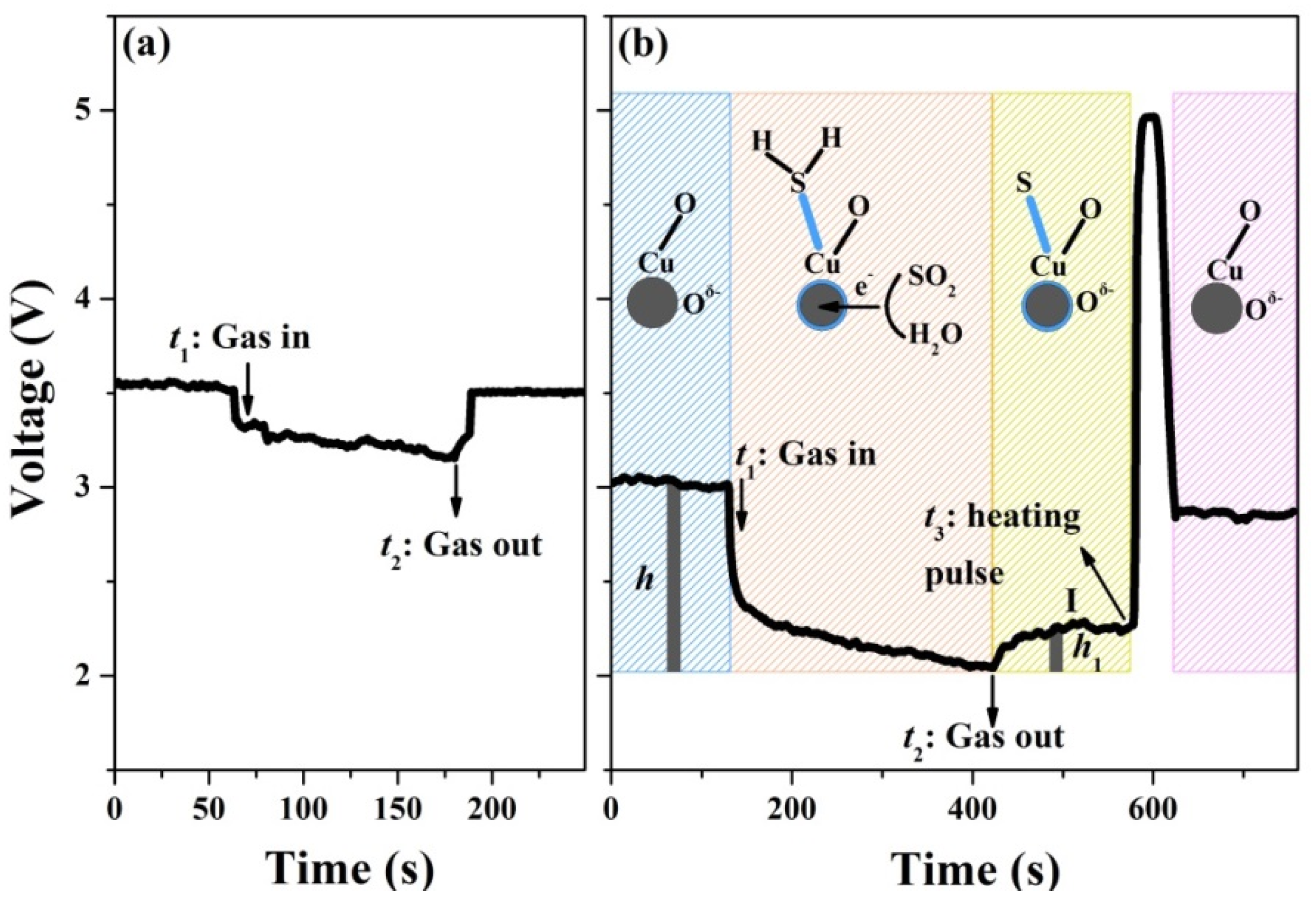 Nanomaterials 10 00774 g007