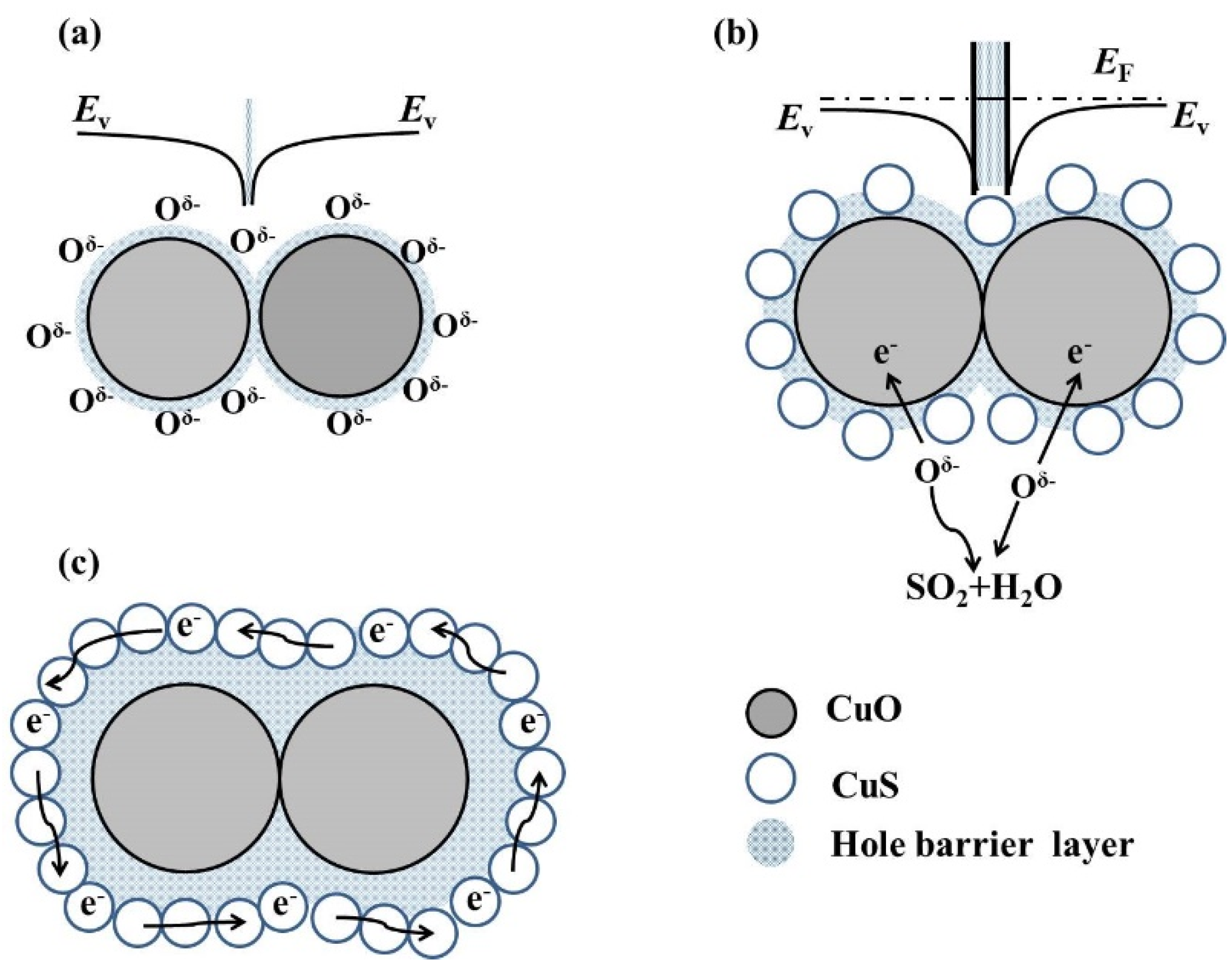 Nanomaterials 10 00774 g011