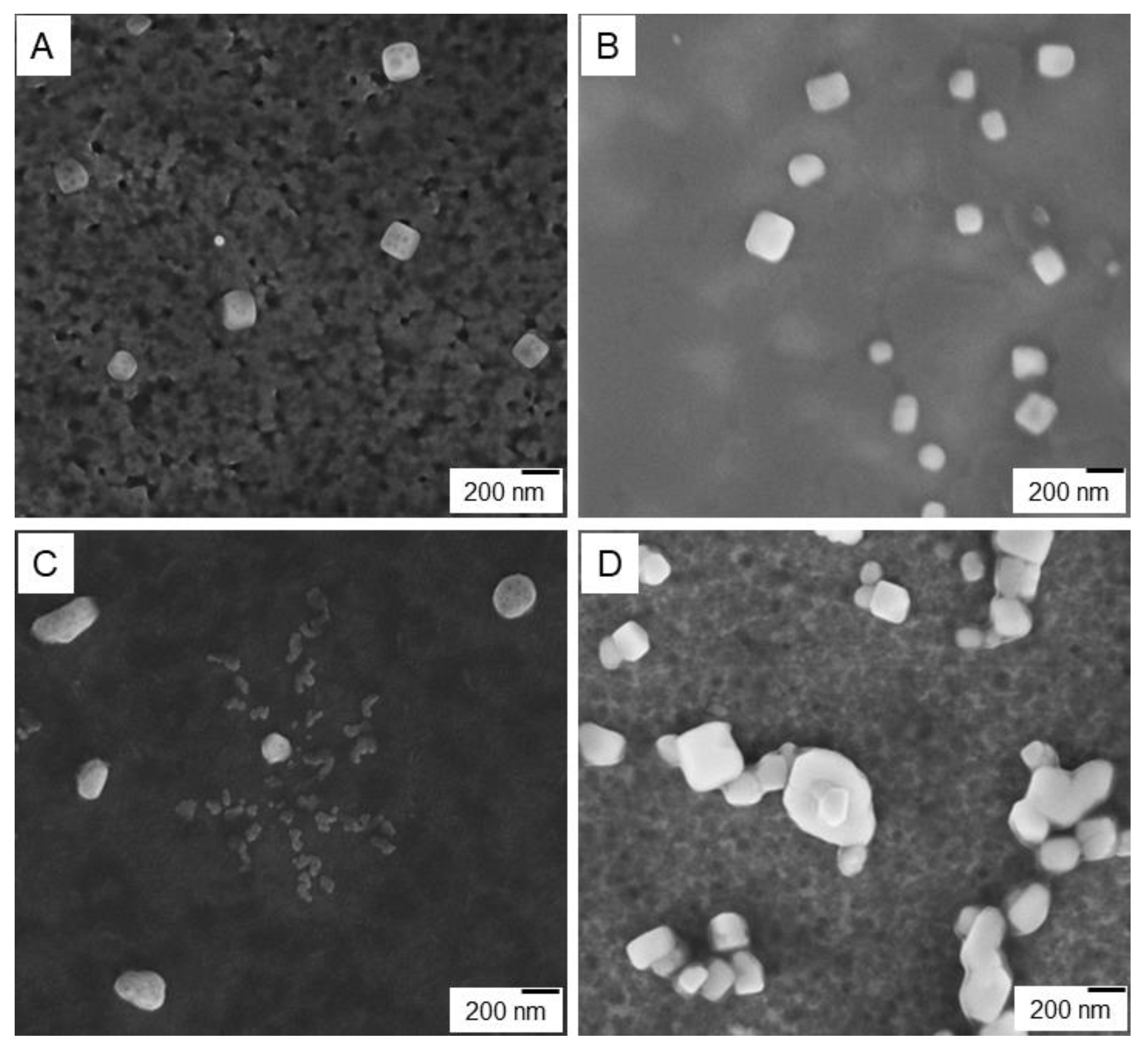 Nanomaterials 10 00777 g006 Nanomaterials 10 00777 g006