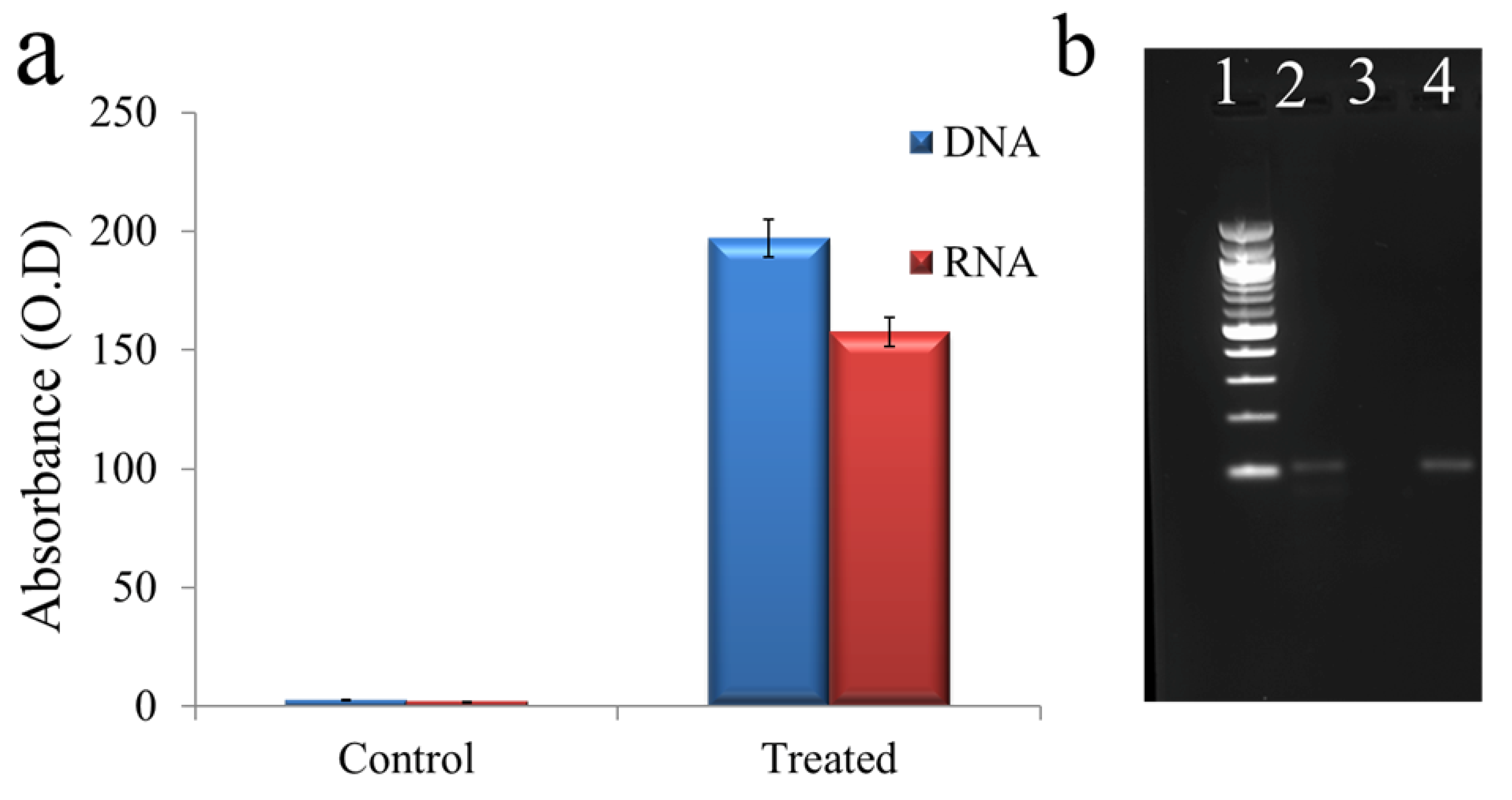 Nanomaterials 10 00778 g006
