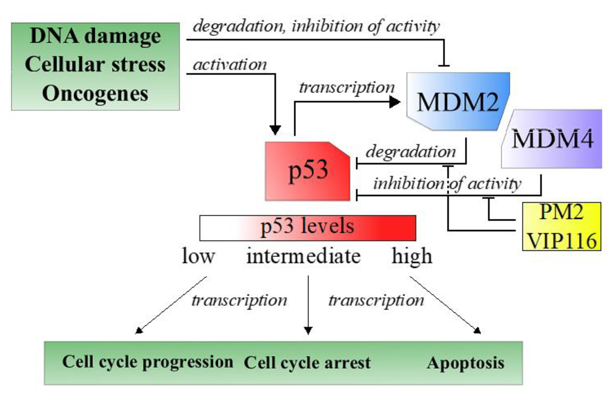 Nanomaterials 10 00783 g001