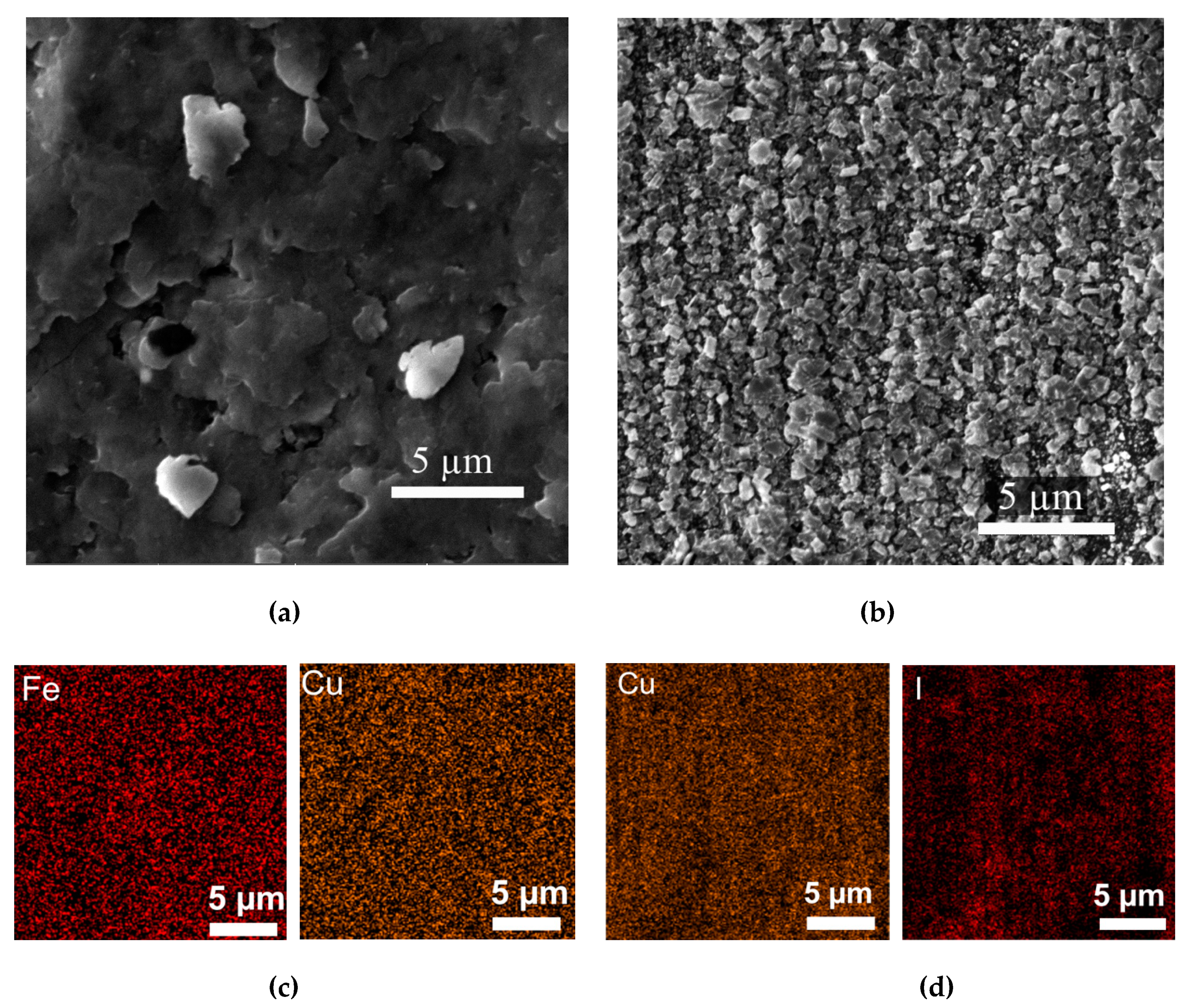 Nanomaterials 10 00784 g004